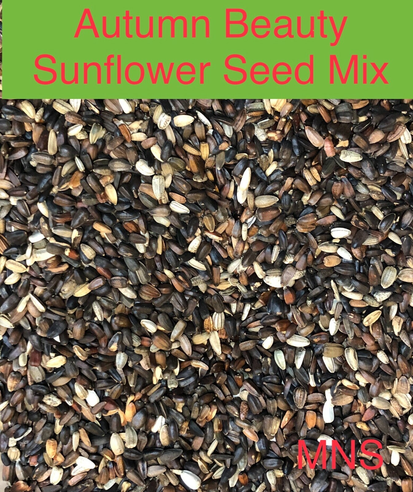 Sunflower AUTUMN BEAUTY MIX Branching Multiple Flowers Non-GMO 100 Seeds