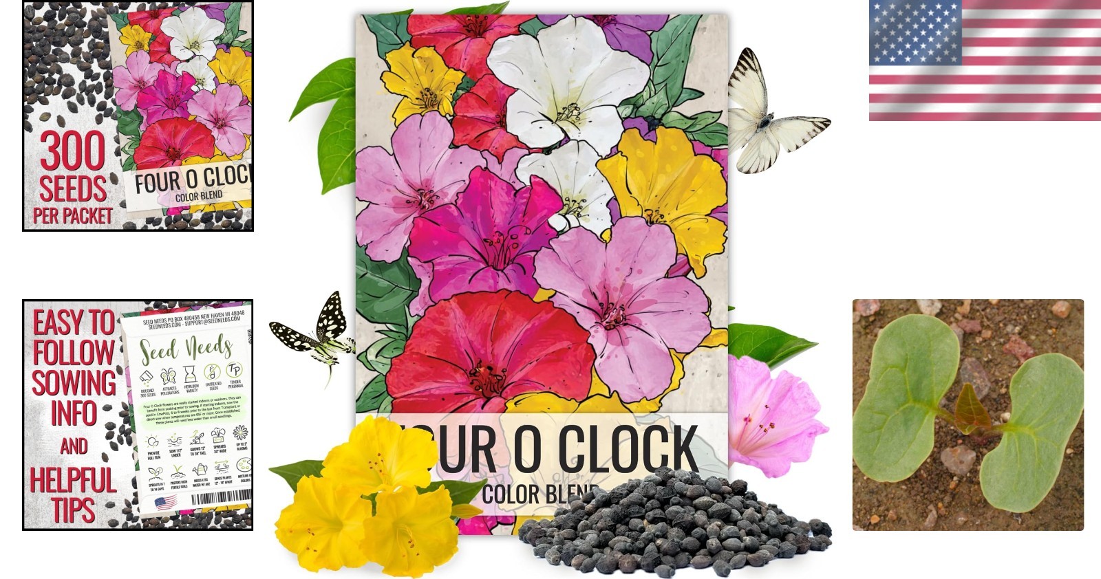 Bulk Four O’ Clock Seeds – Eco-Friendly Heirloom Blooms for Pollinator Gardens