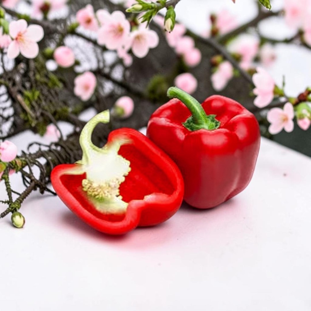 Red Bell Pepper Seeds Large Bell, High Yield, Non-GMO Free Shipping 25 SEEDS