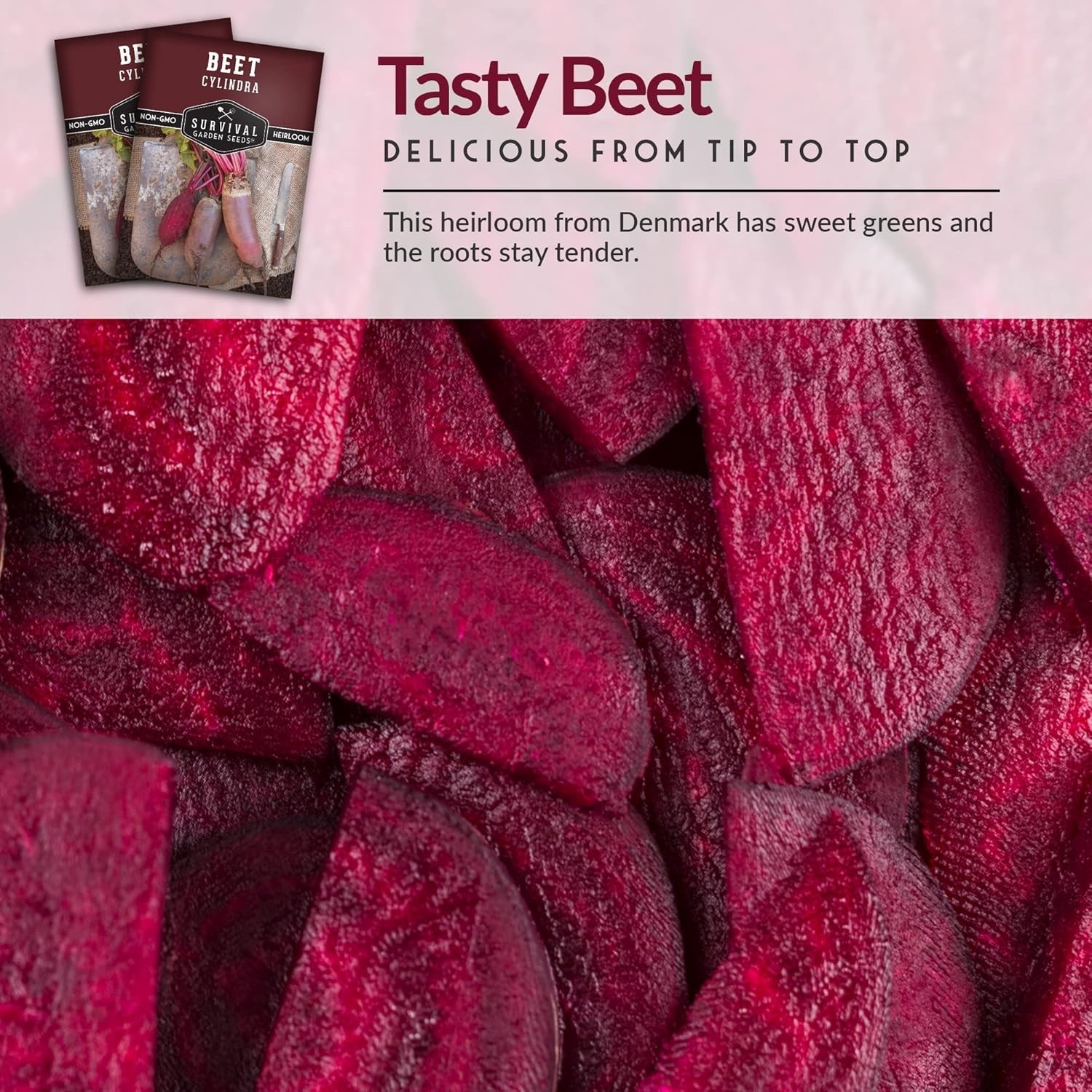 Heirloom Cylindra Beet Seeds – Compact, Disease Resistant, Sweet Flavor – 1 Pack