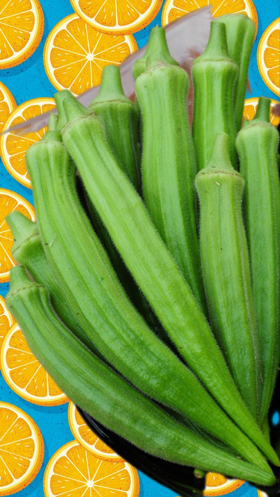 Perkins Long Pod Okra Seeds – 40+ fresh seeds. Available Jambalaya Star Of David