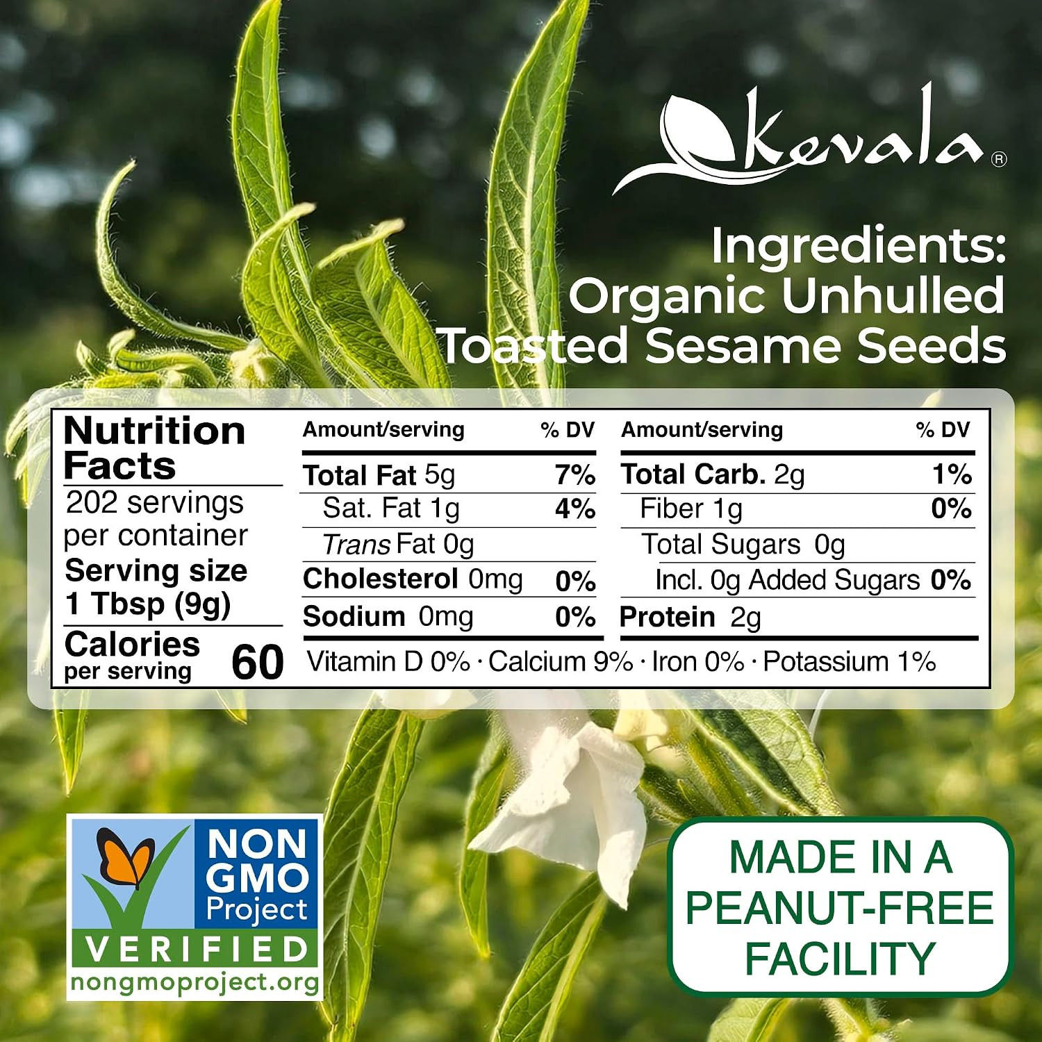 Organic Toasted Sesame Seeds (Unhulled) – Single-Origin Premium Selection Roaste