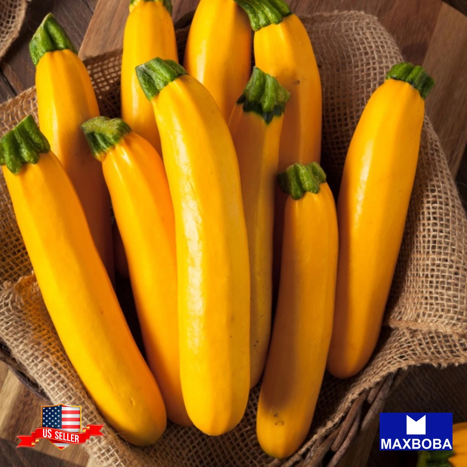 100+ GOLDEN ZUCCHINI SEEDS — SUMMER — HEIRLOOM — ORGANIC — NON GMO — FRESH