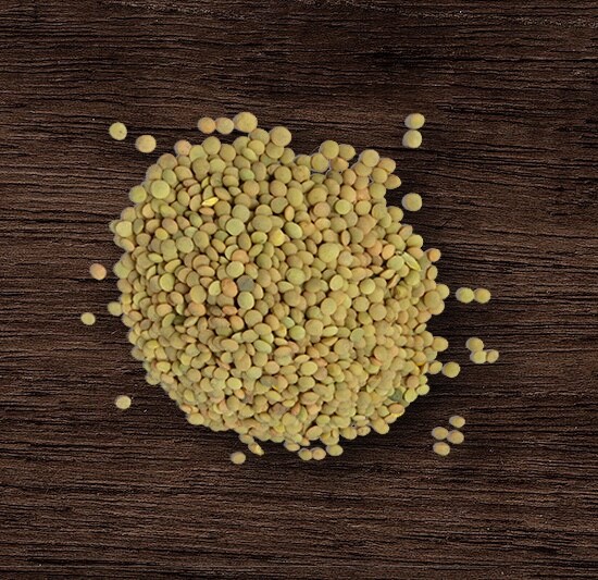 Green Lentil Seeds Bean Sprouting Seeds 600+ Legumes Beans Garden Seeds USA