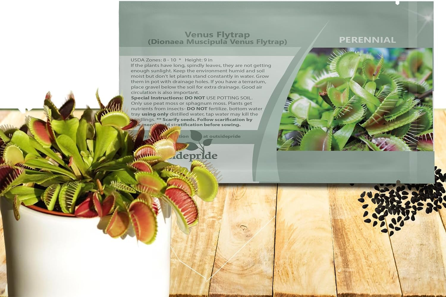 Outsidepride Venus Flytrap Seeds – 10 Pcs Perennial, Unique & Carnivorous, Indoo