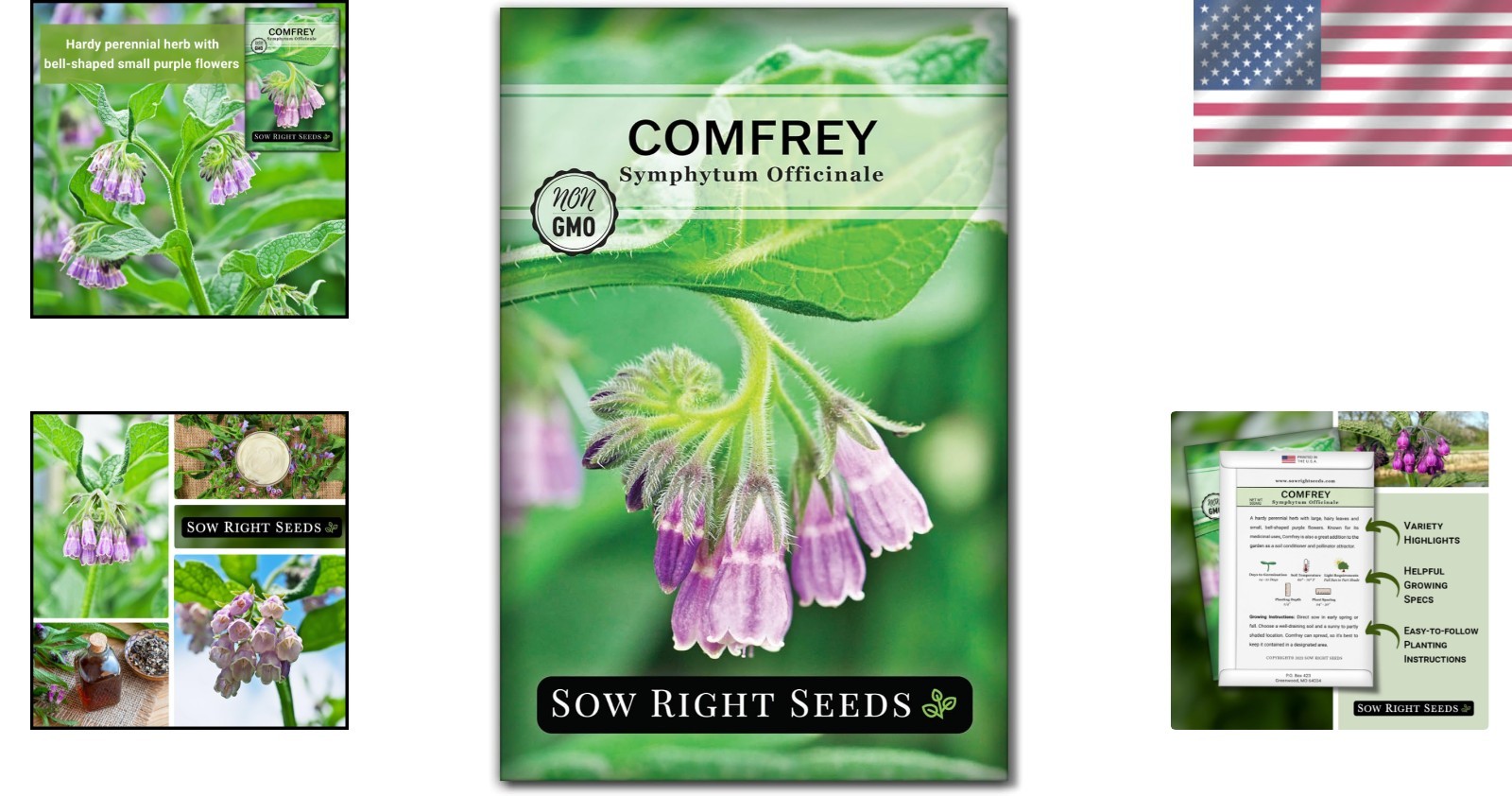 Comfrey Seeds – Vibrant Purple Medicinal Herb for Outdoor & Indoor Gardens