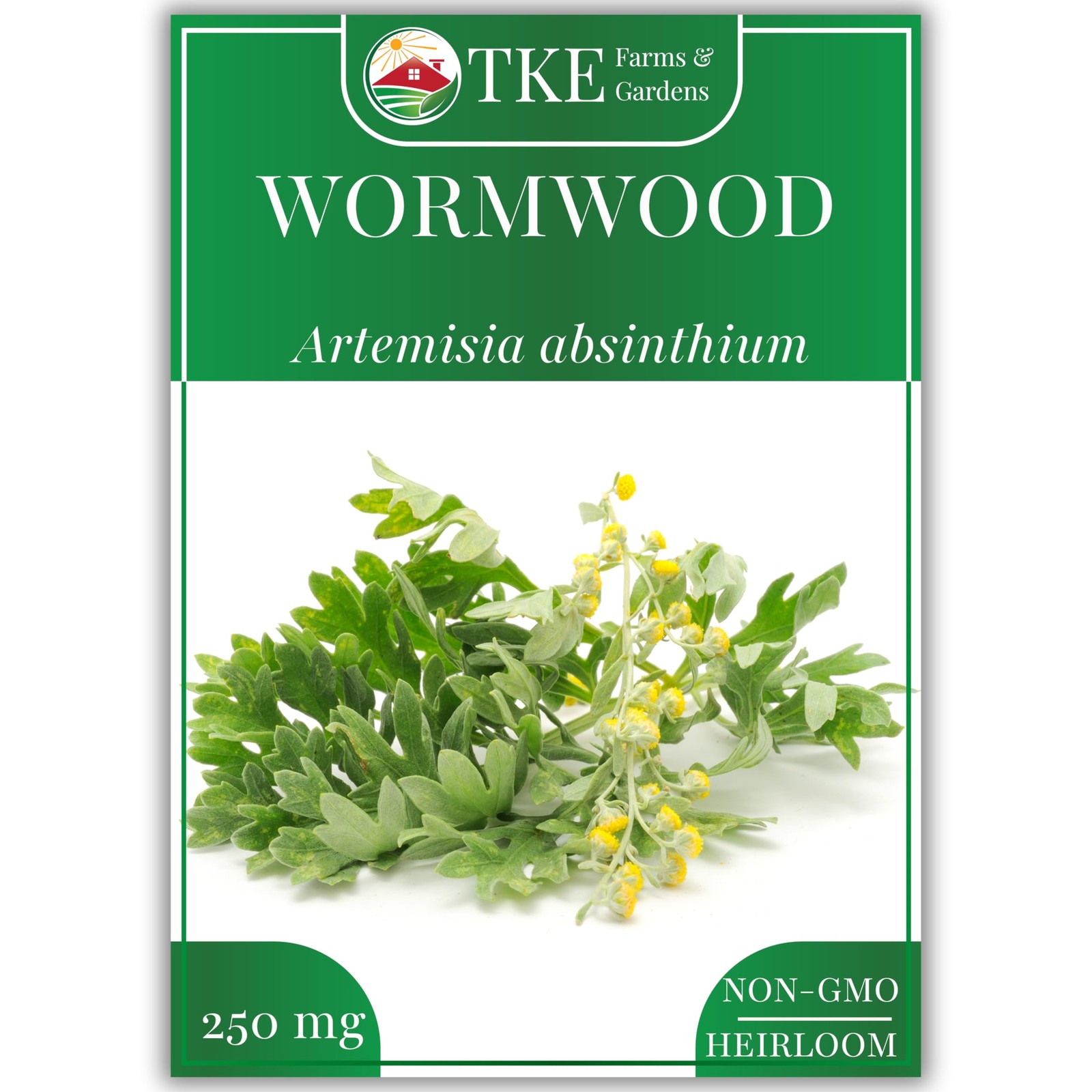 Wormwood Seeds Heirloom Non GMO Perennial Herb Silvery Foliage 1000+ Count Easy