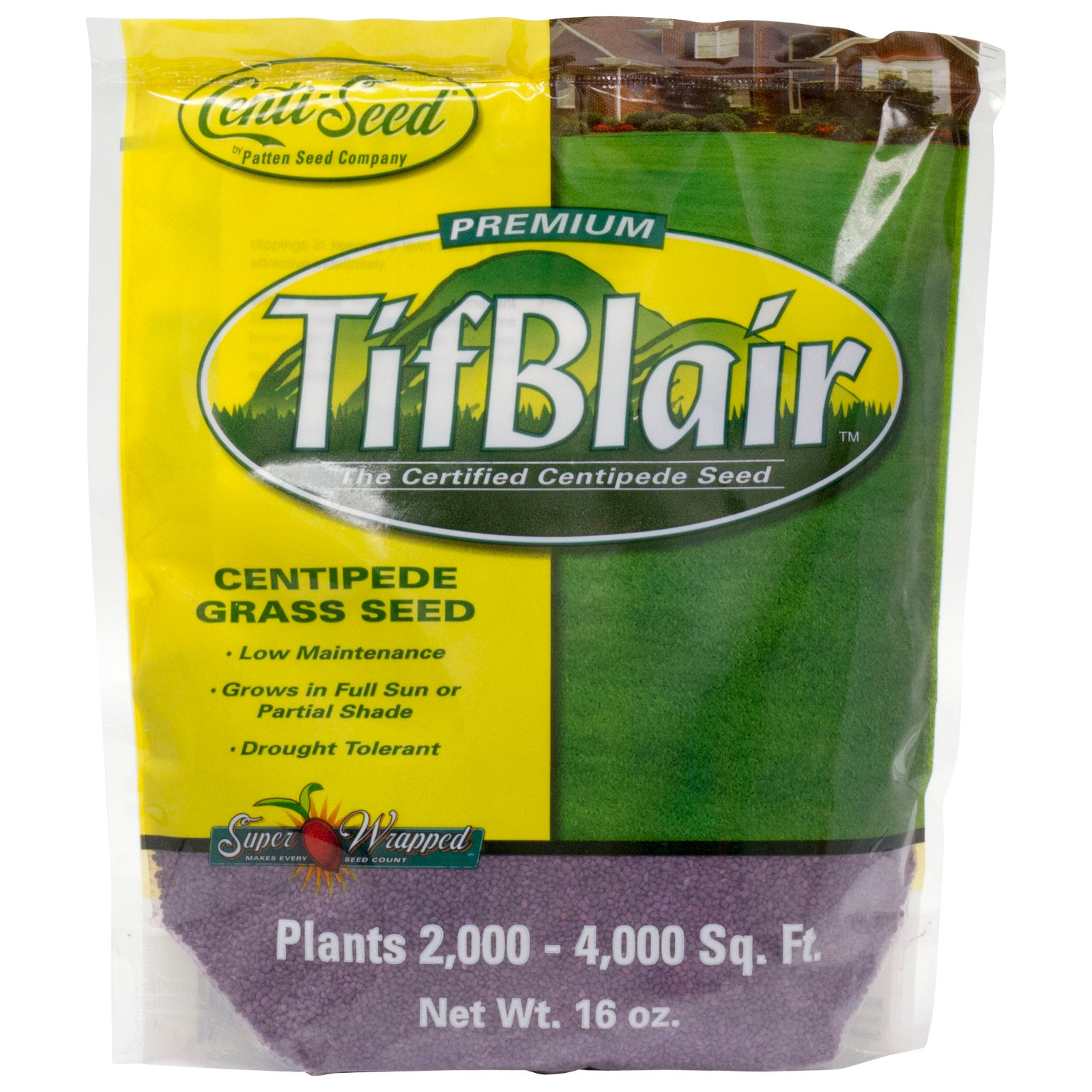 TifBlair Centipede Grass Seed 1 Lb Plants 2k – 4k Sq Ft For Sun or Partial Shade