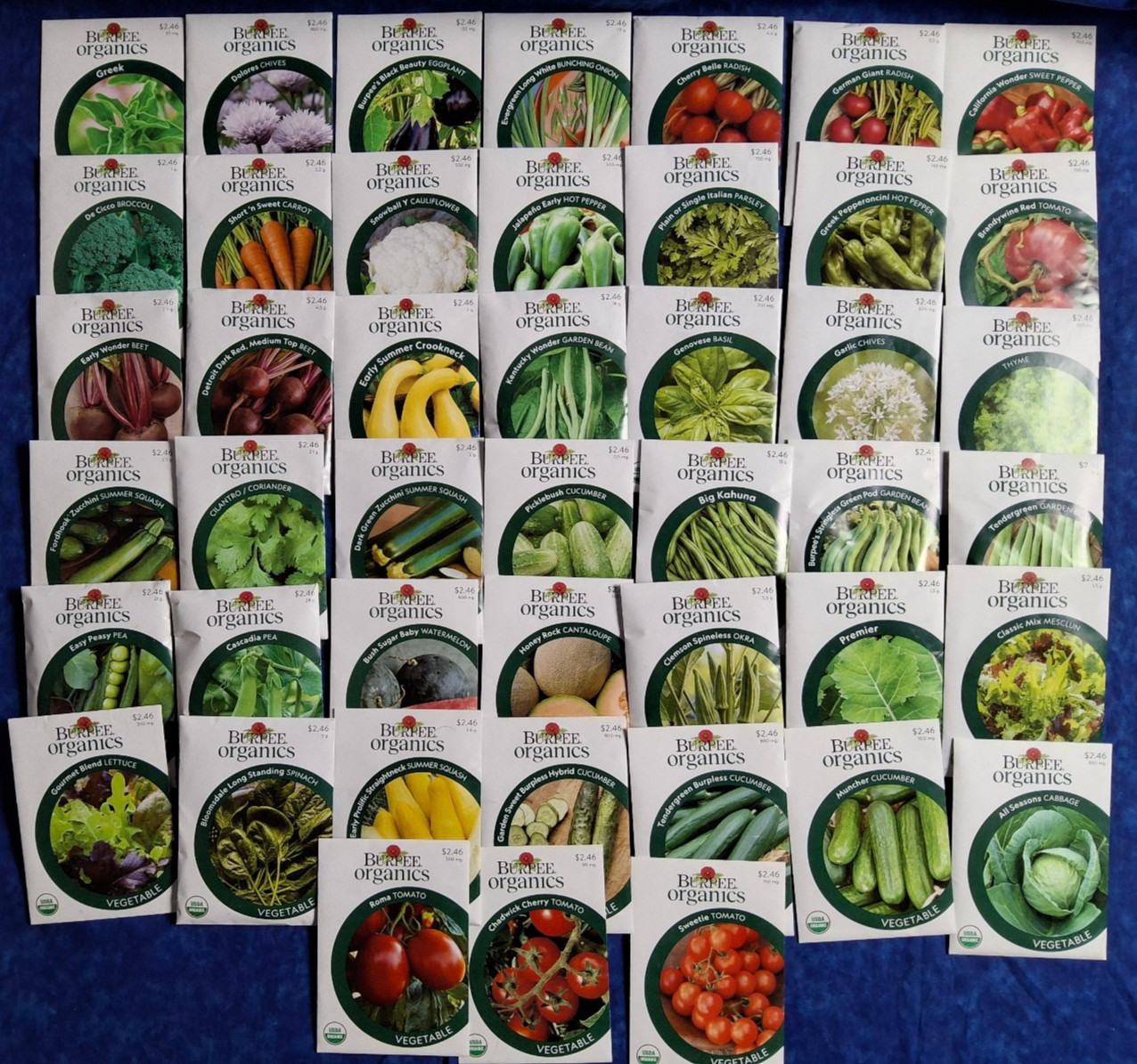Mixed Lot of 47 Burpee Veg Herb Fruite Organic Seeds 2025 – LOT SI