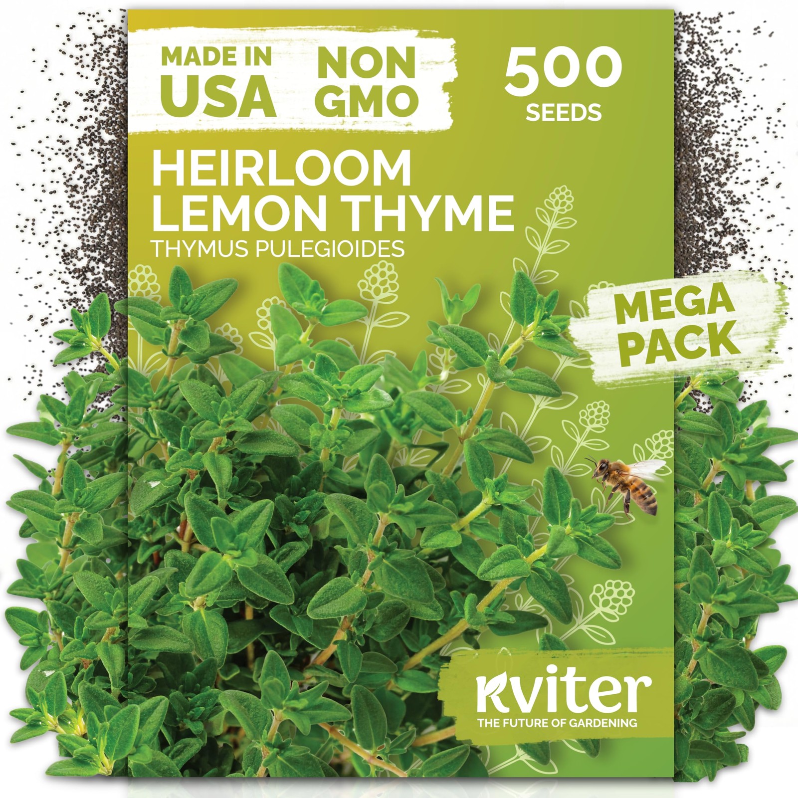 KVITER 500 Lemon Thyme Seeds For Planting (Thymus pulegioides)