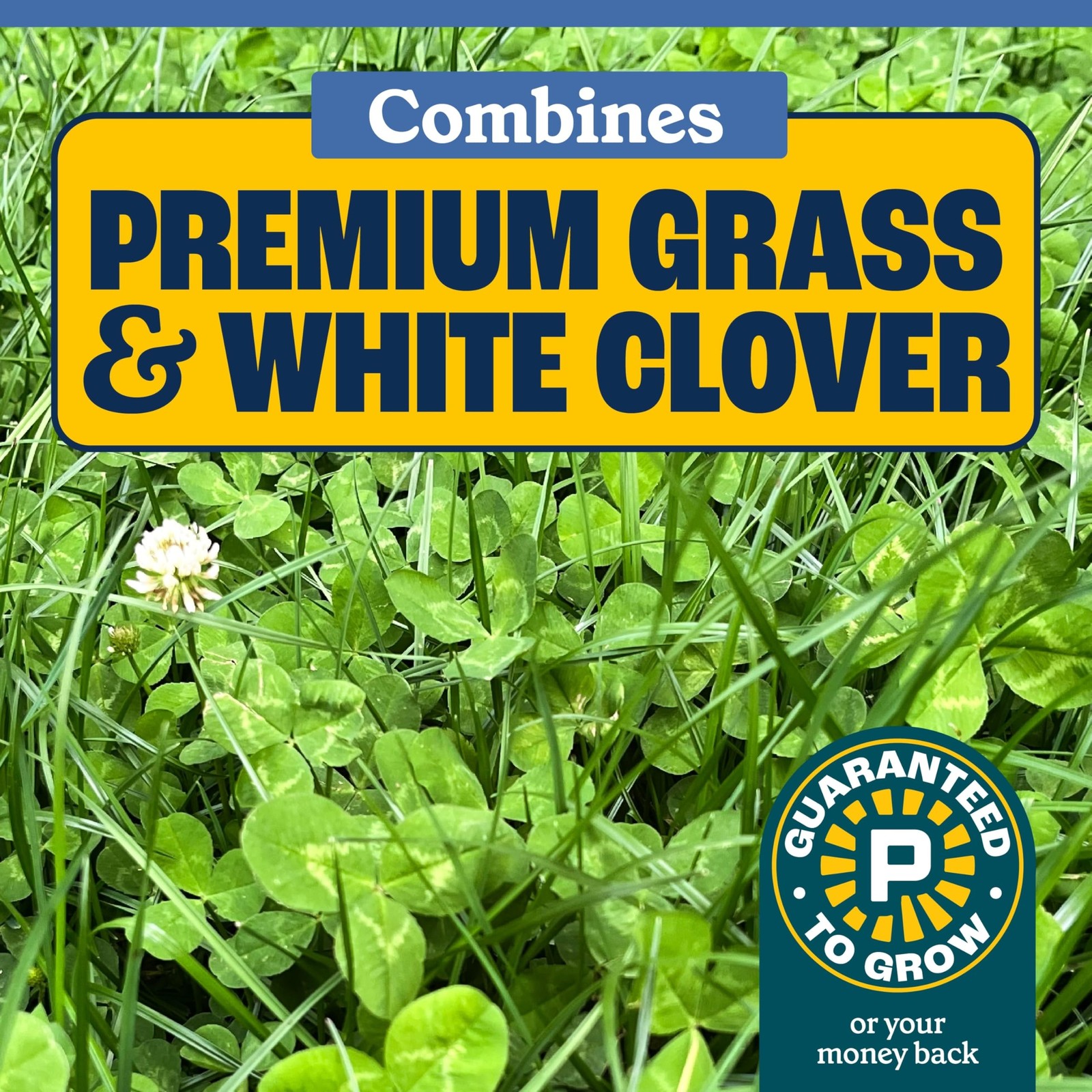 Pennington Clover & Grass Mix 7 Pounds
