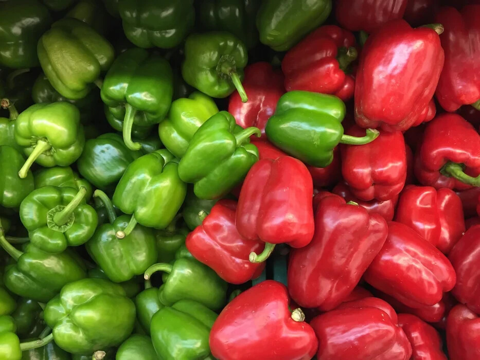 55+ California Wonder Bell Pepper BIG Heirloom Seeds NON-GMO Fresh Garden FAST