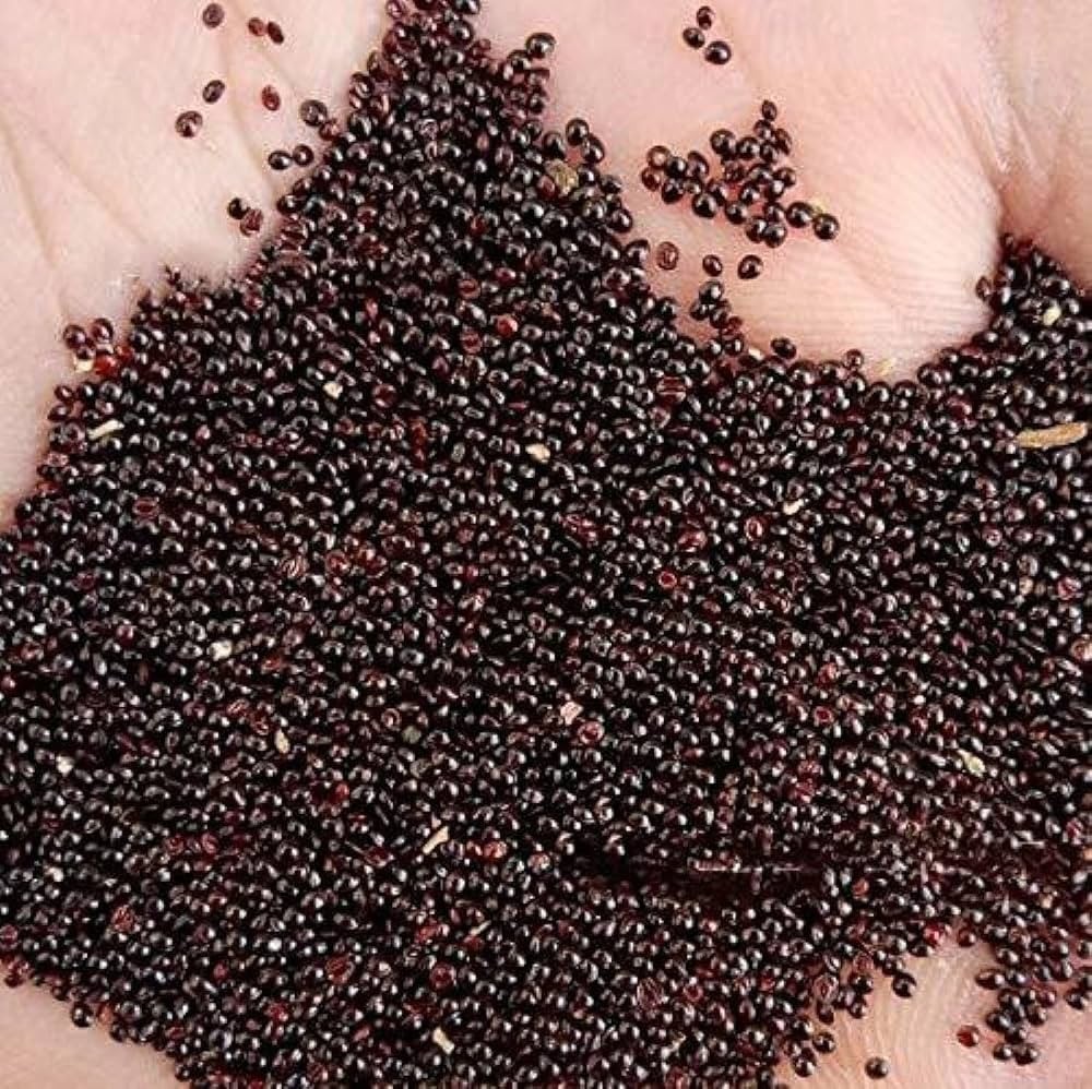Red Amaranth Seeds – Lal Shak (লাল শাক) – High‑Quality Seeds for Planting