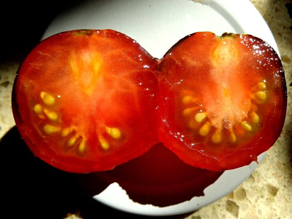 Indigo Rose Cherry Tomato 25 Seeds Non-GMO Organic Grown in 2024 Delicious