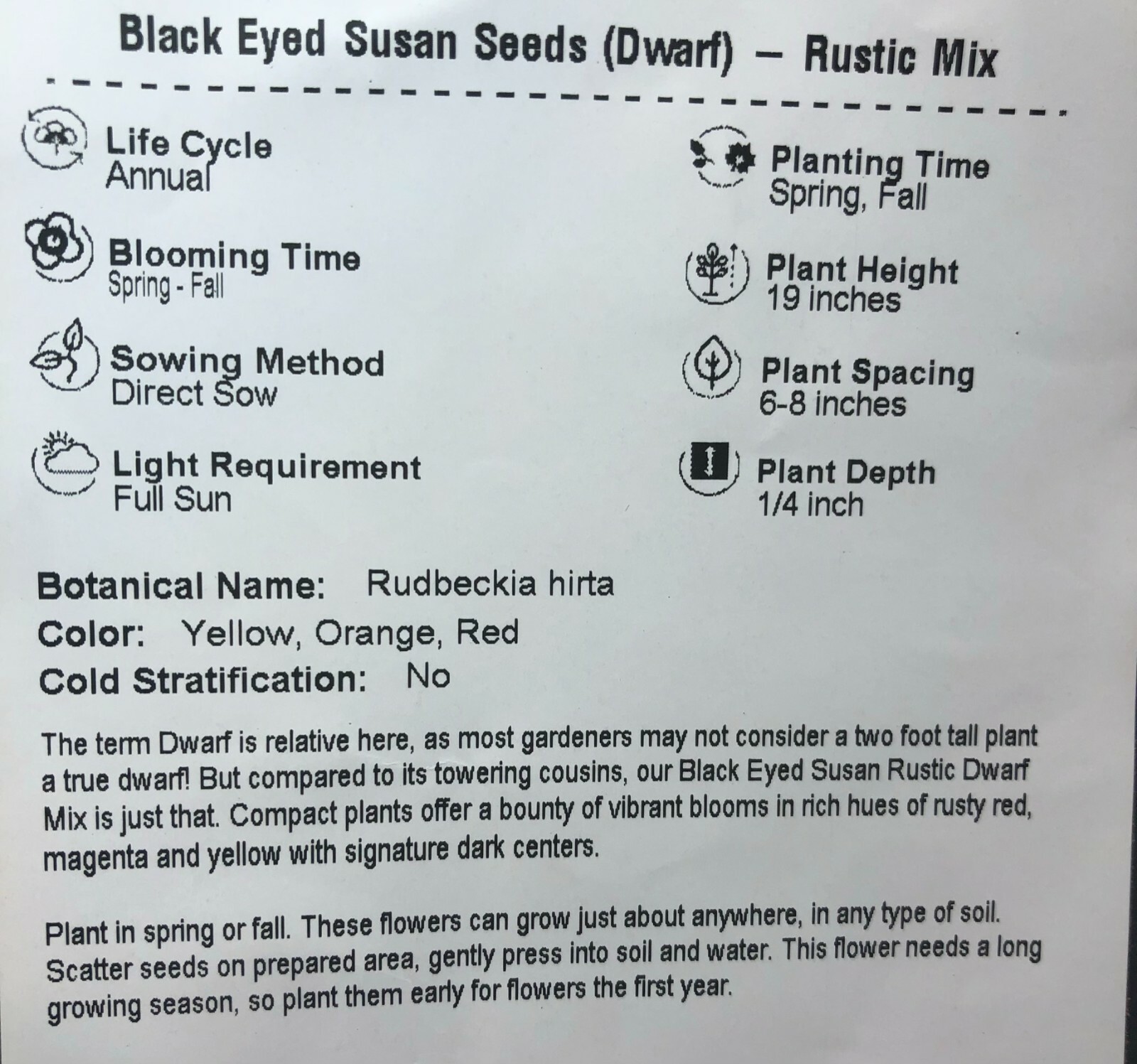 Black Eyed Susan DWARF RUSTIC Flower Mix Butterflies Rudbeckia Non-GMO 100 Seeds