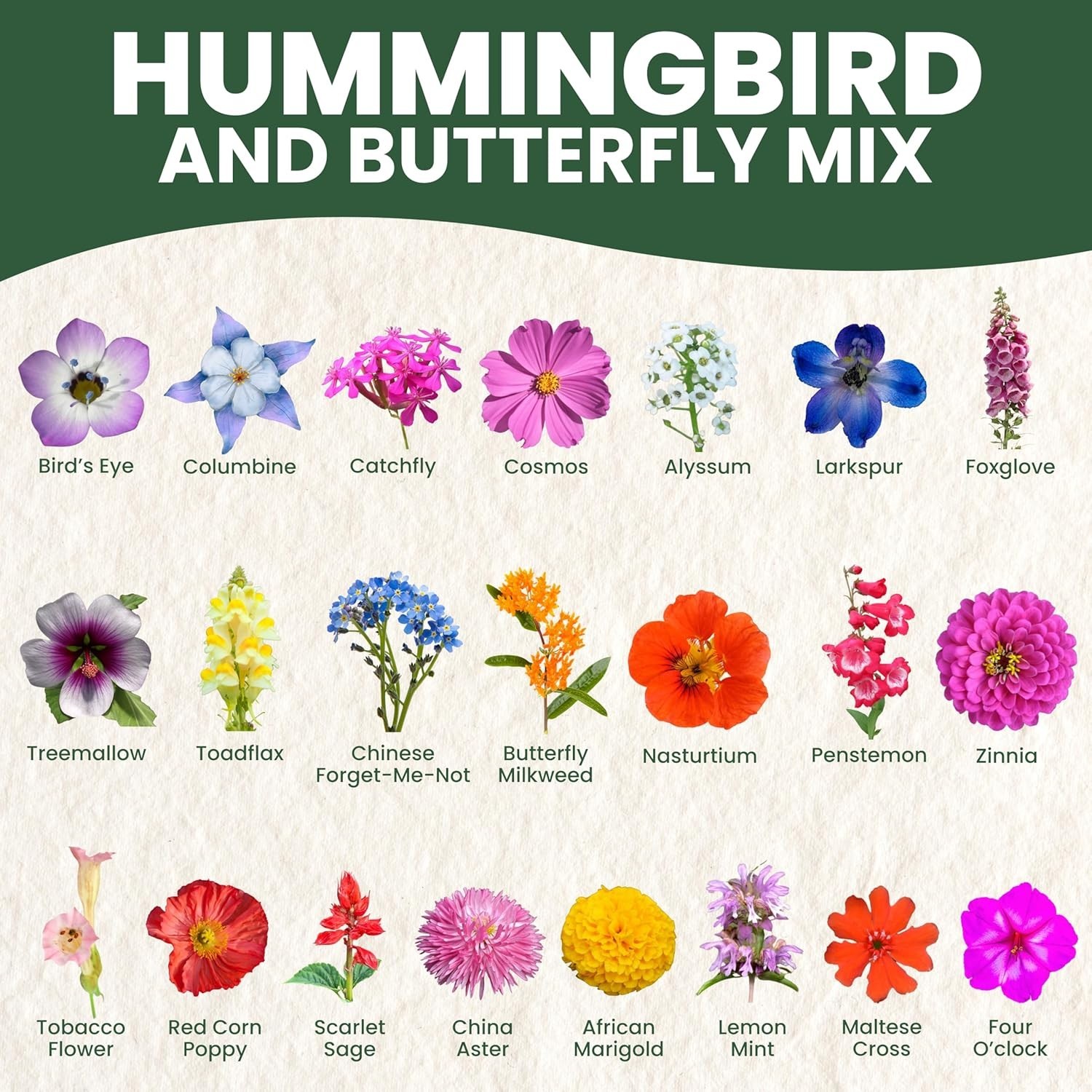 Hummingbird Butterfly Mix – Large 1 Ounce Packet – 7,500 Flower Seeds