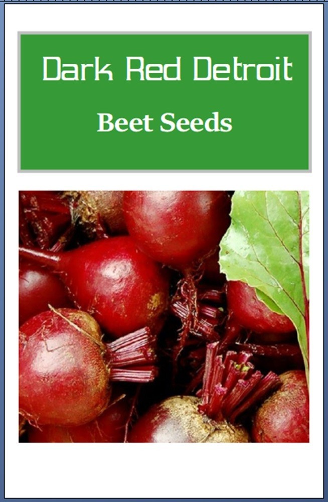 Dark Red Detroit Beet Seeds | NON-GMO | Heirloom | Fresh Garden Seeds