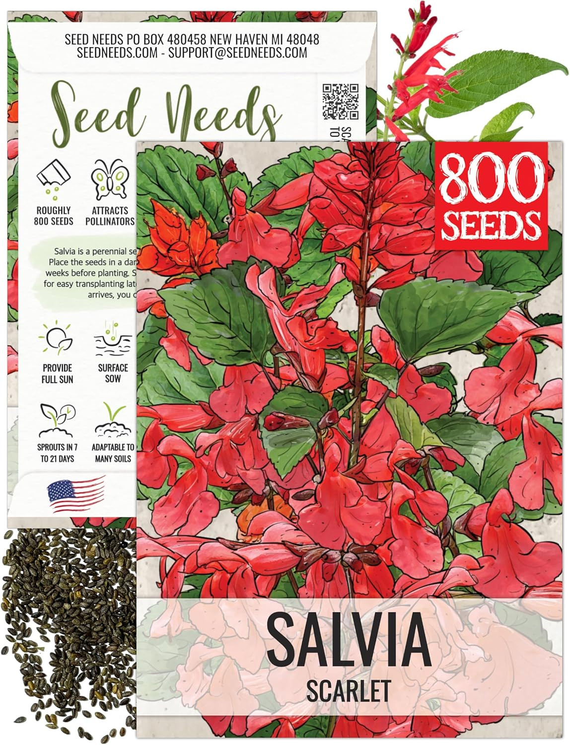 , Scarlet Red Sage Seeds – 800 Heirloom Seeds for Planting Salvia Coccinea – Per