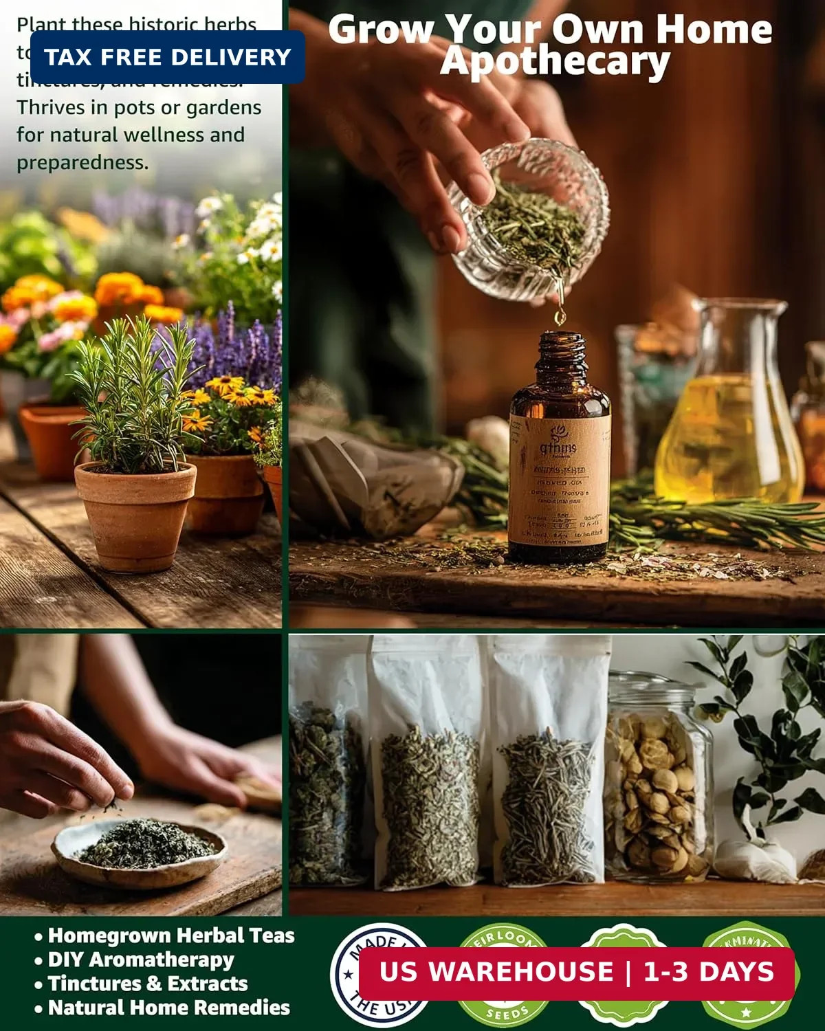 Medicinal & Tea Herb Seeds for Planting – 35 Non-GMO Variety Pack for Indoor/Out