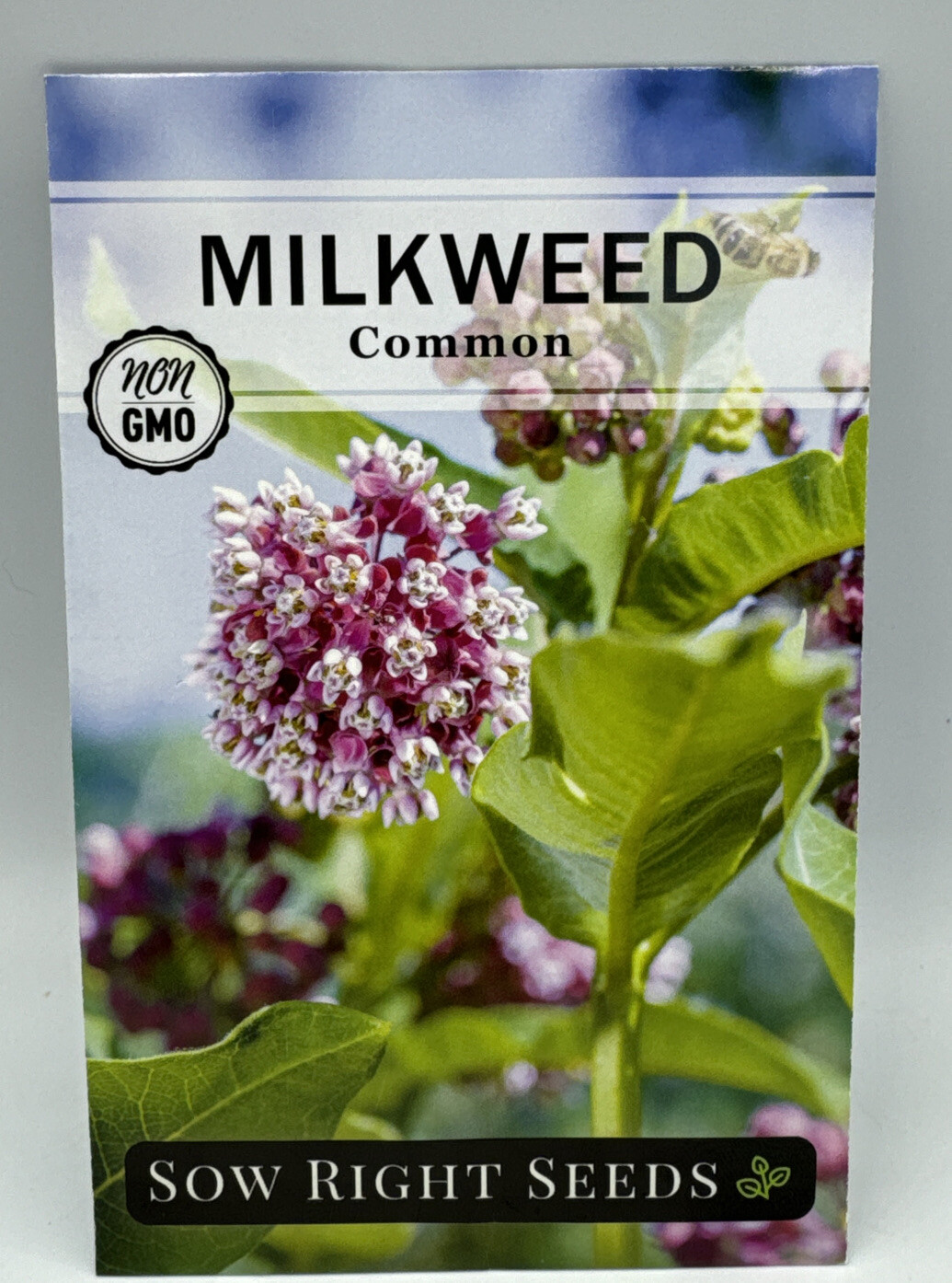 Common Milkweed Flower Seeds Packet 1/2 Gram by Sow Right Seeds. New