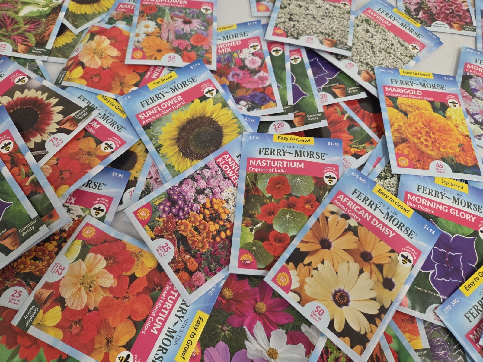 Lot Of 100 Variety Flower Seeds Packs Garden Pollinator- ALL FERRY MORSE 12/26