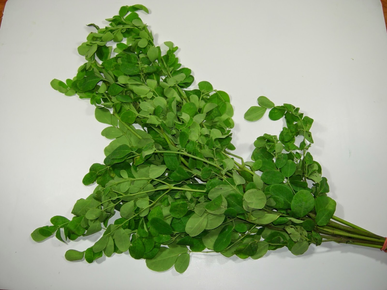 15 Lunaria Annua Seeds Brassicaceae Honesty Silver Dollar Money Plant Seeds