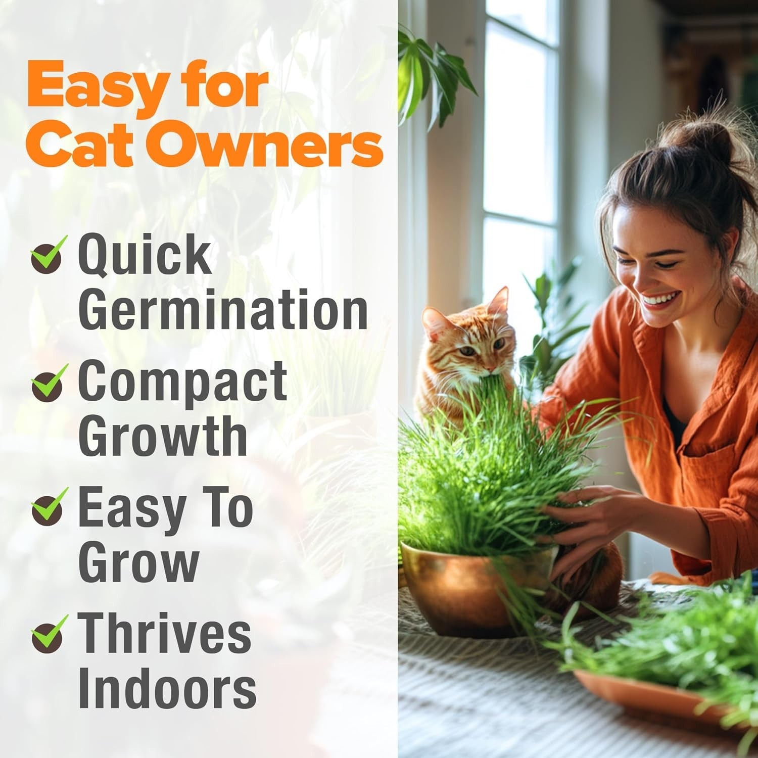 3200+ Cat Grass Seeds – Nutrient-Rich Oat & Alfalfa for Hairball Relief