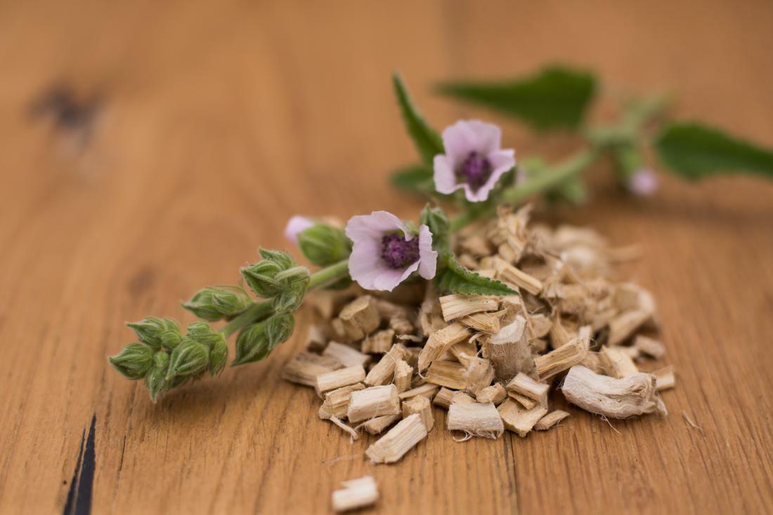 Marshmallow (Althaea Officinalis), Ancient Herbal Medicine – 50 seeds