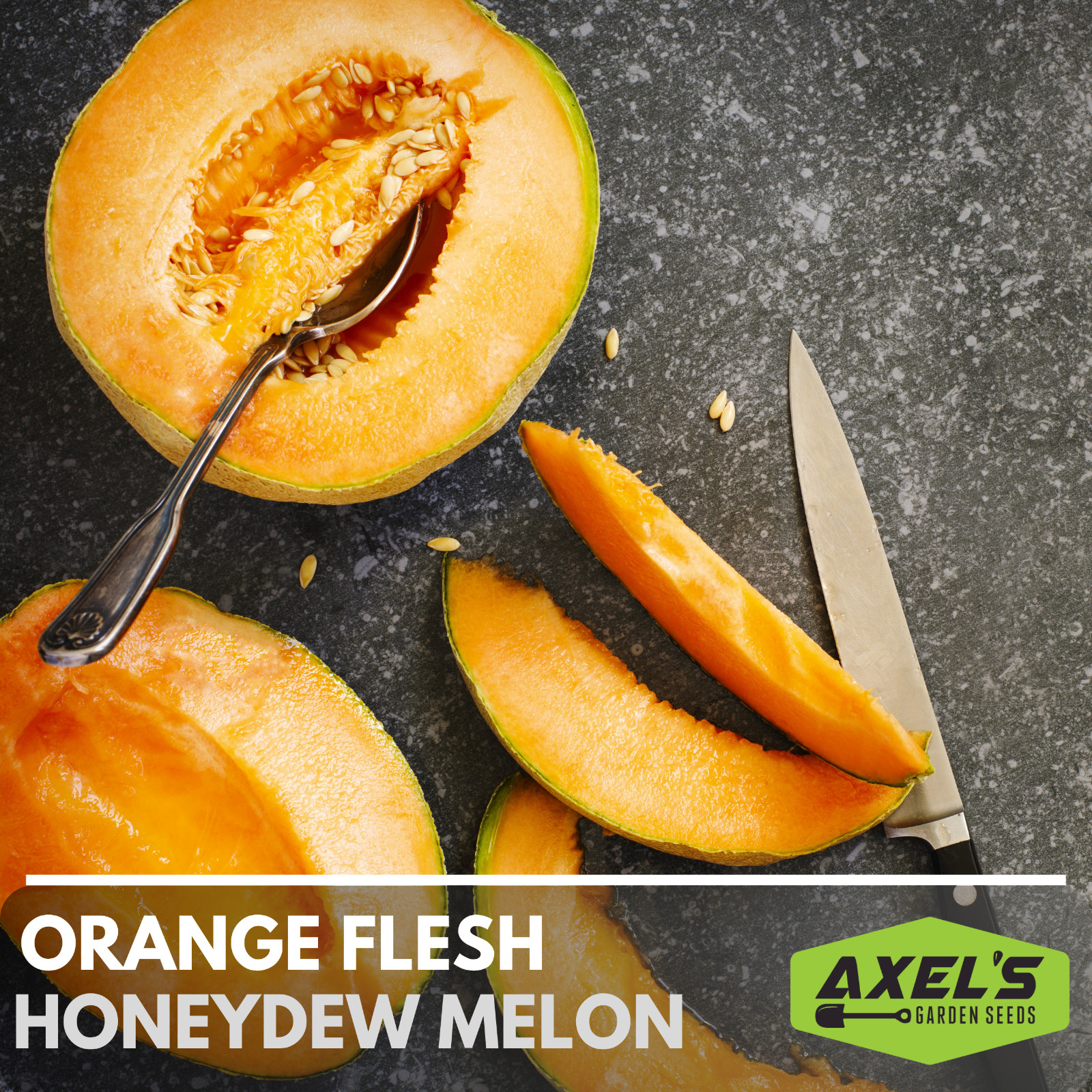 Honeydew Orange Flesh Melon Heirloom Non-GMO Seeds