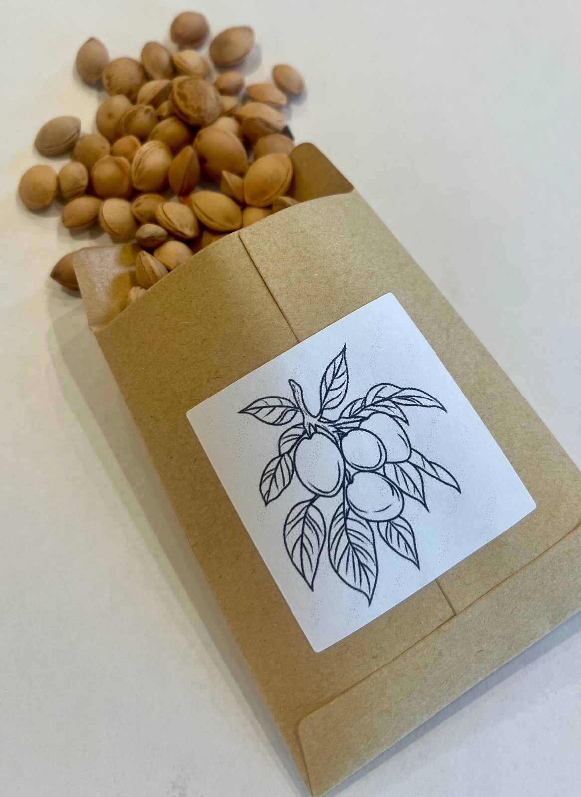 Common American Plum Tree Seeds (Prunus Americana)