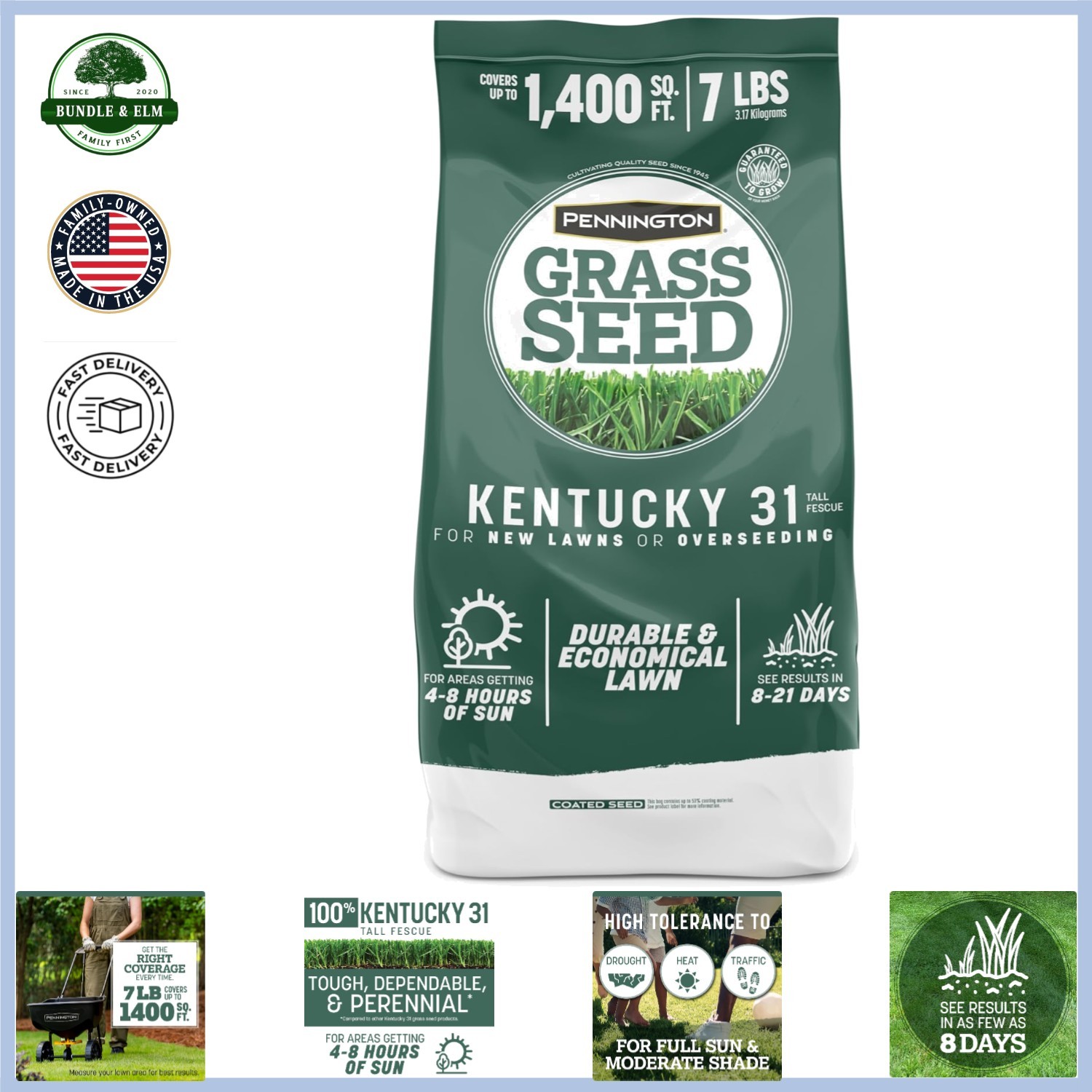 Kentucky 31 Grass Seed, 7 lb Bag, Perfect for Thick Blades & Tough Conditions
