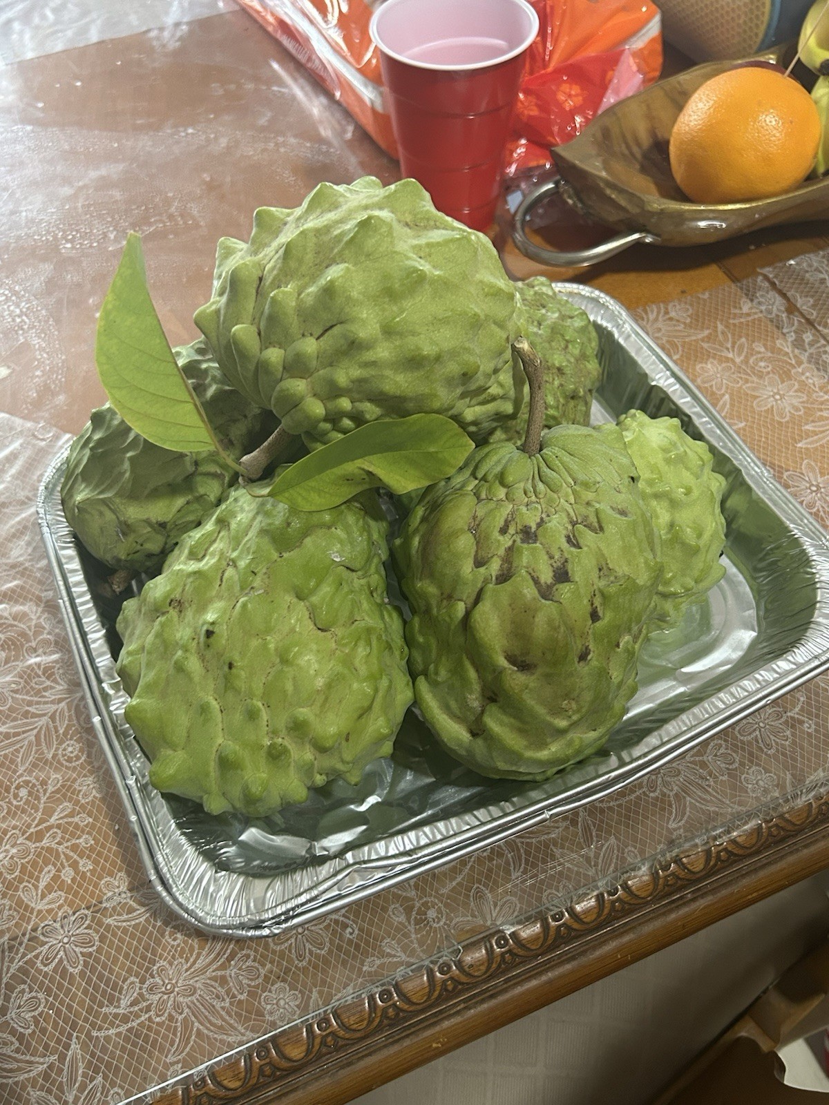 10+ Extra Sweet Sugar Apple Australian Seeds | Sweetsop Mang cau | Trái Na