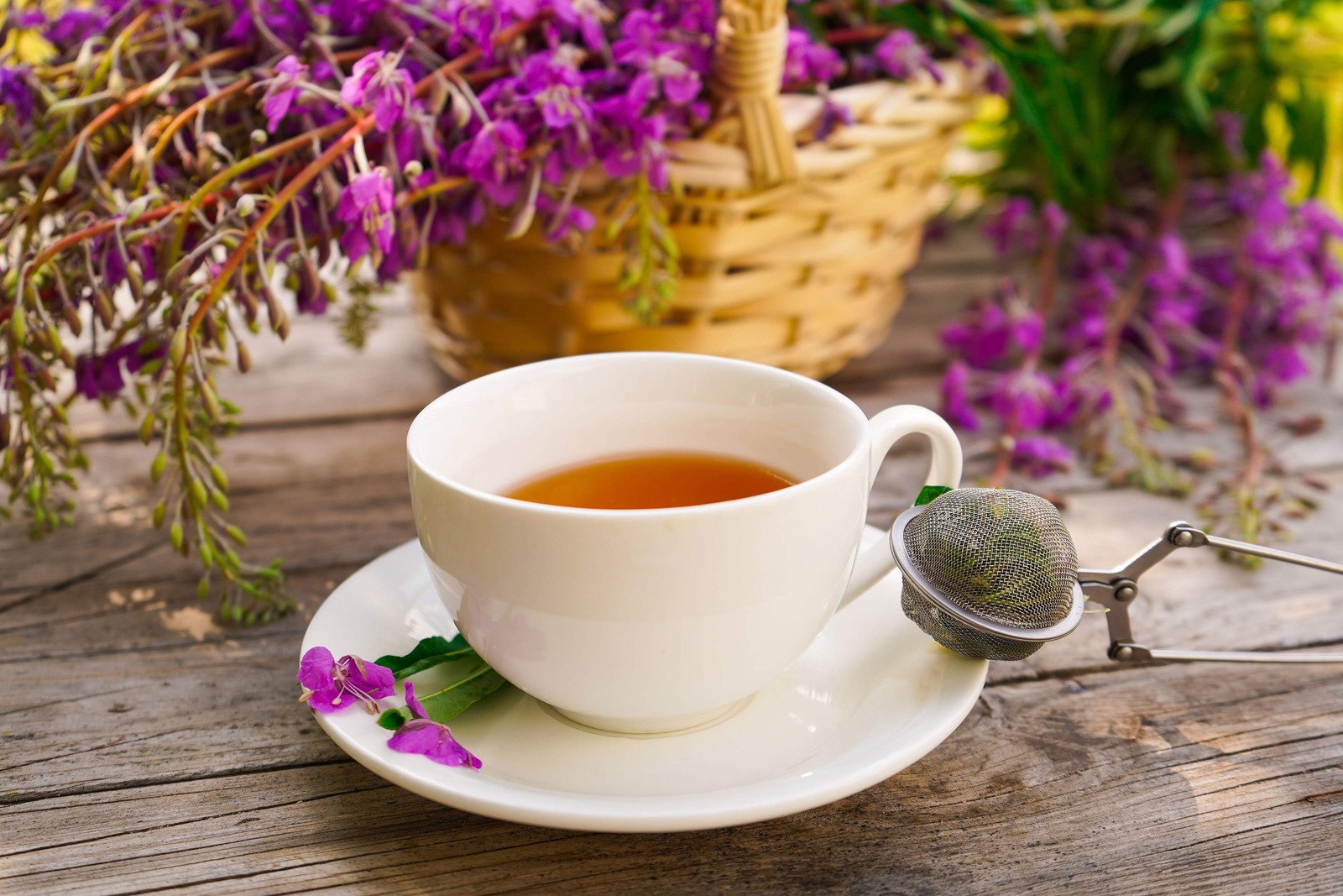300 FIREWEED / ROSEBAY (Great Willowherb) Epilobium Angustifolium Flower Seeds