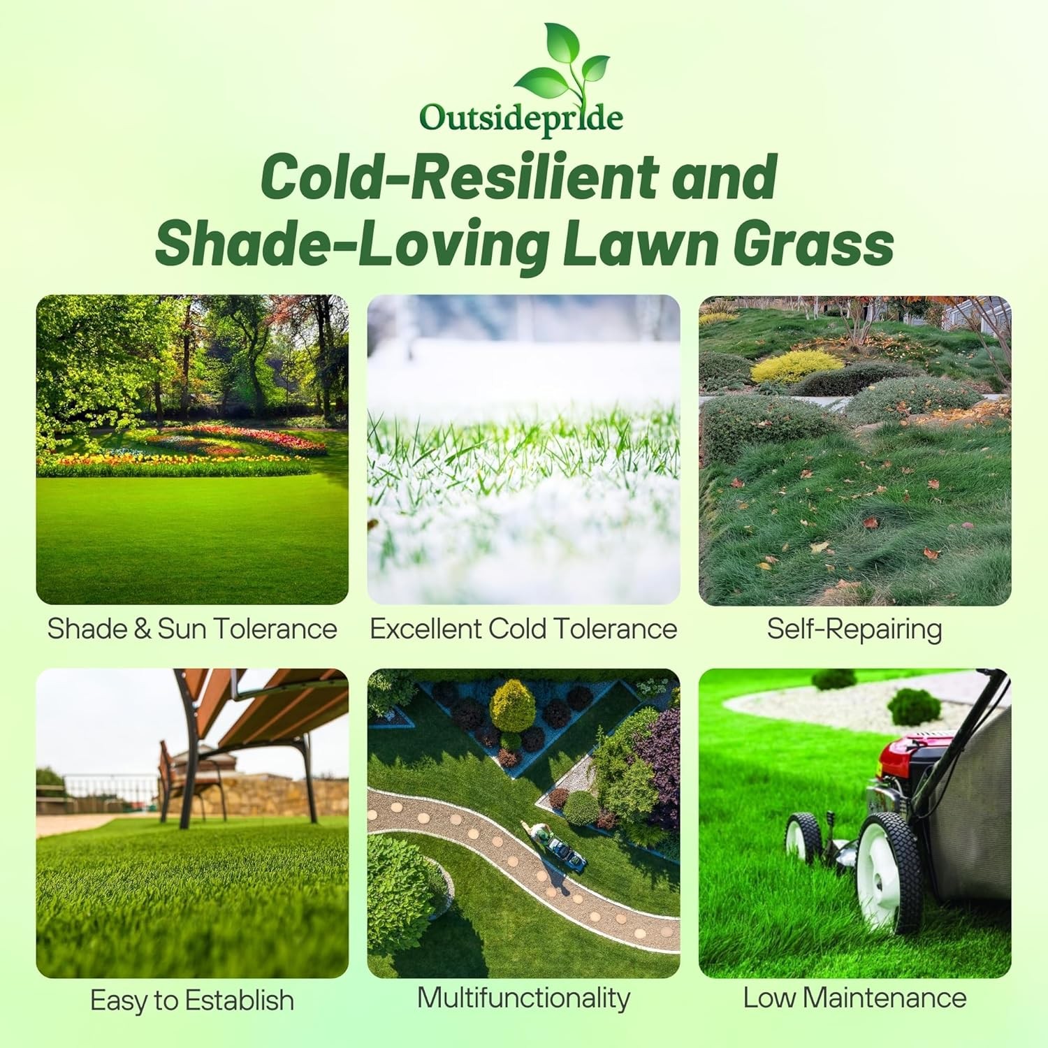 50 LBS – OptiGrowth Coated Creeping Red Fescue Grass Seed For Shade
