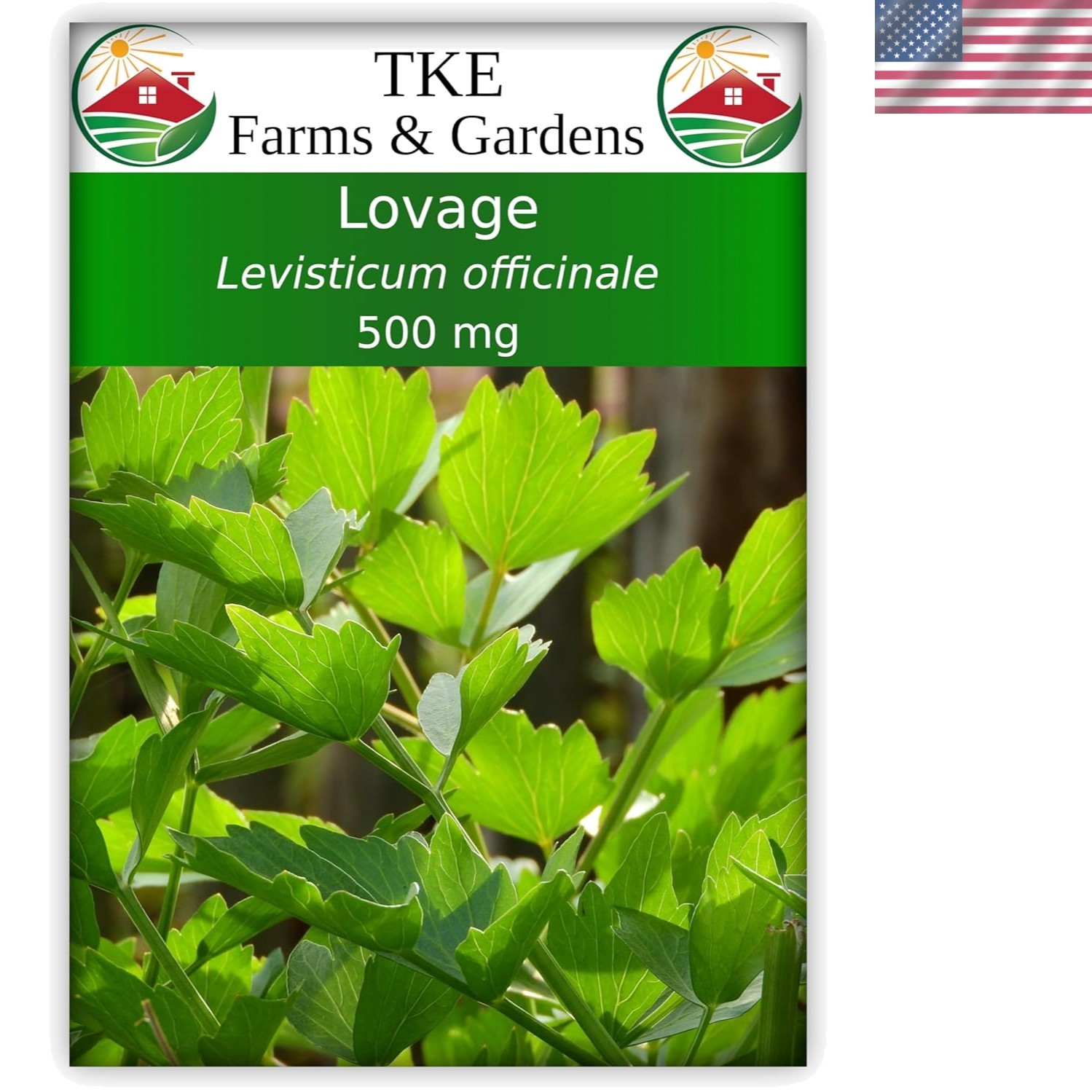 Lovage Seeds for Planting, 500 Mg, 140 Heirloom Seeds, Non-GMO, Packet Includ…
