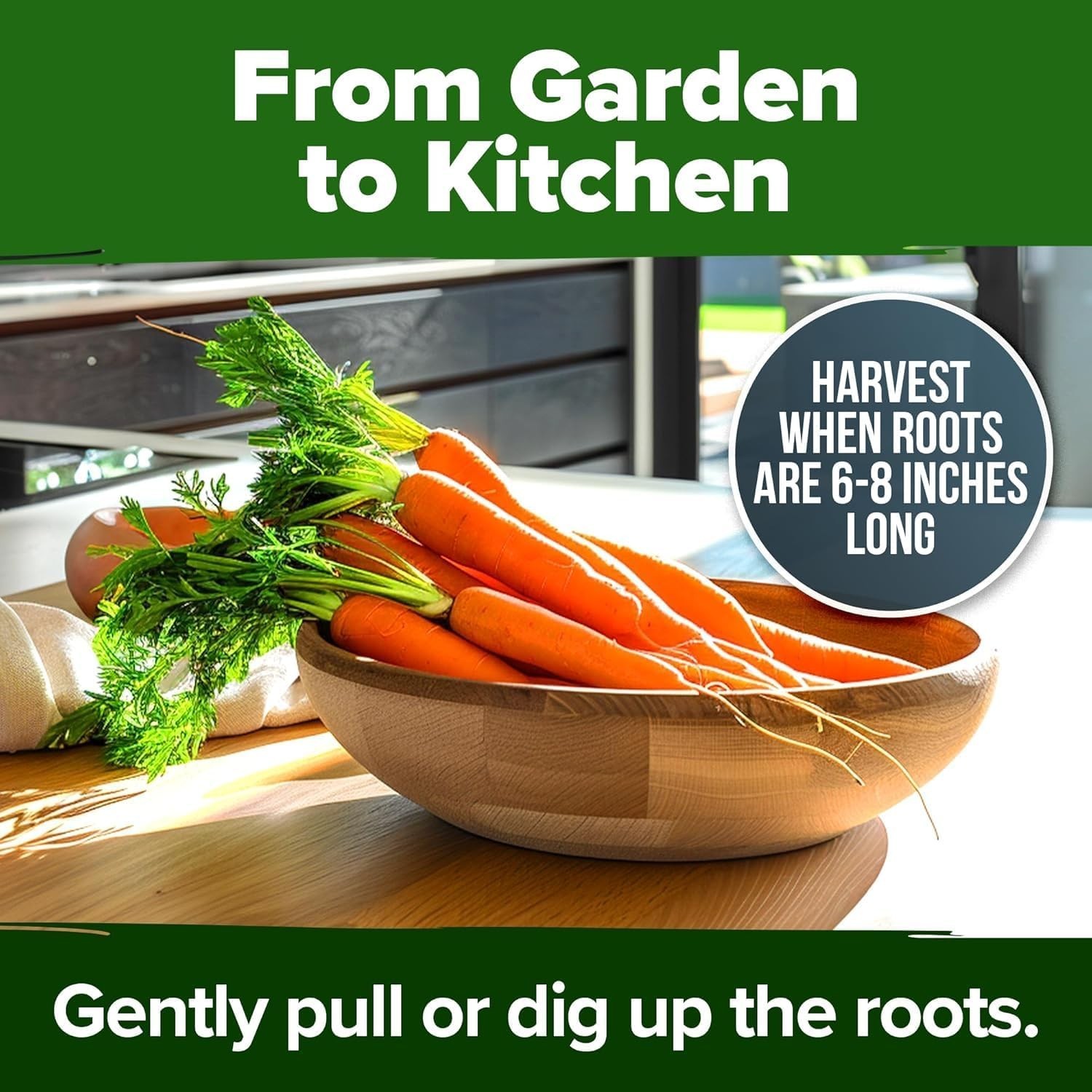 Tendersweet 3000+ Carrot Seeds | NON-GMO Carrot Seeds | Fresh Heirloom Seeds