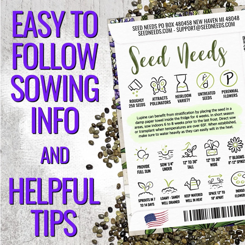 Wild Perennial Lupine Seeds For Planting (Lupinus perennis)