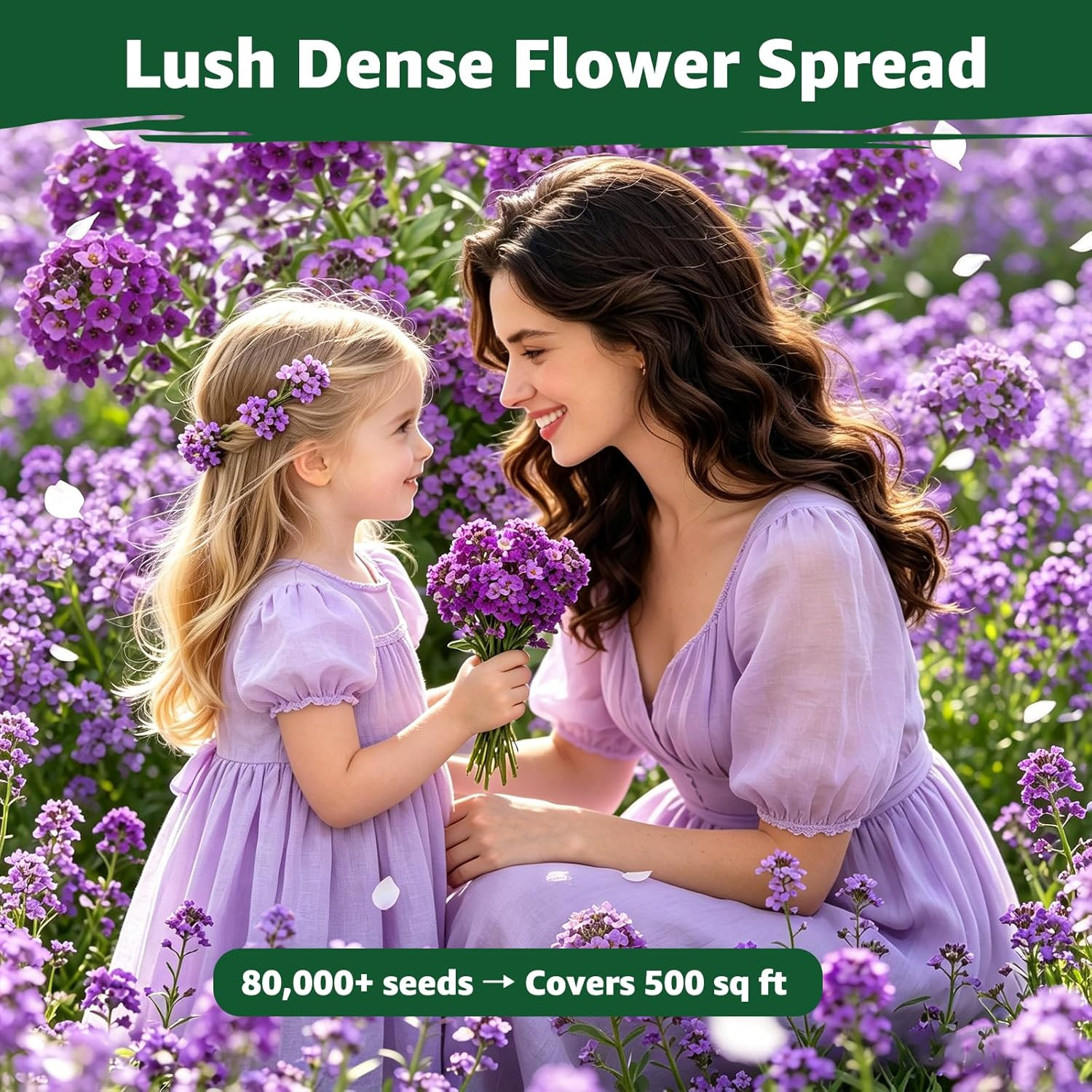 Alyssum Seeds for Planting – Purple Royal Carpet, Sweet Purple Alyssum Flower Se
