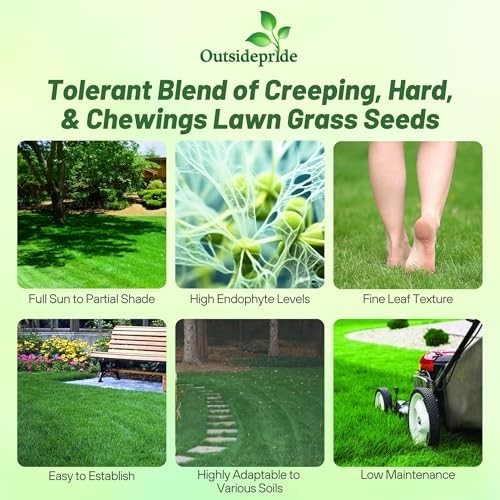 Fine Fescue Grass Seed Mix – 10 lbs, Shade & Sun Tolerant, Hard & Creeping Blend