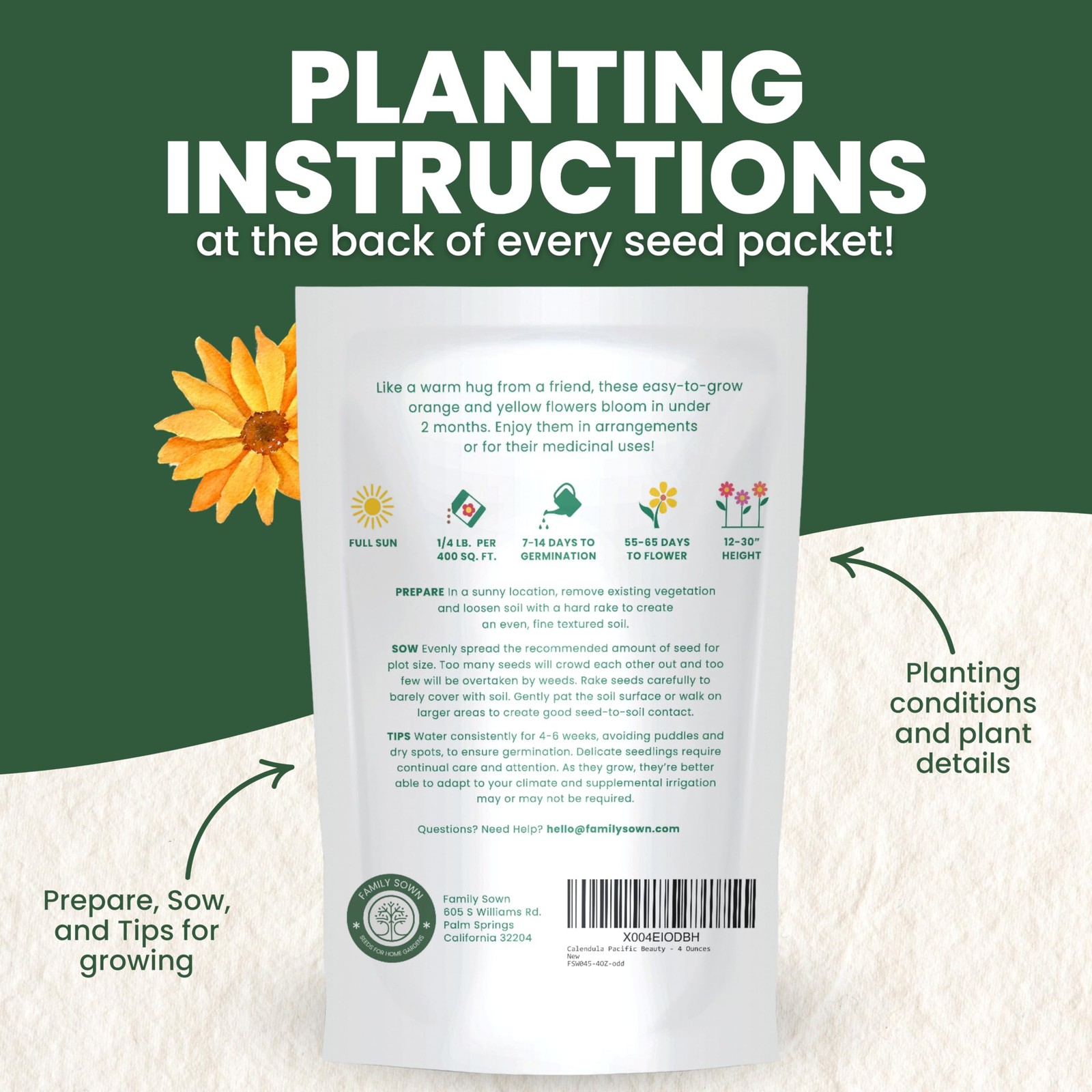 Bulk Calendula Seeds 12,000 Flower Seeds for Planting 1/4 Pound Pouch