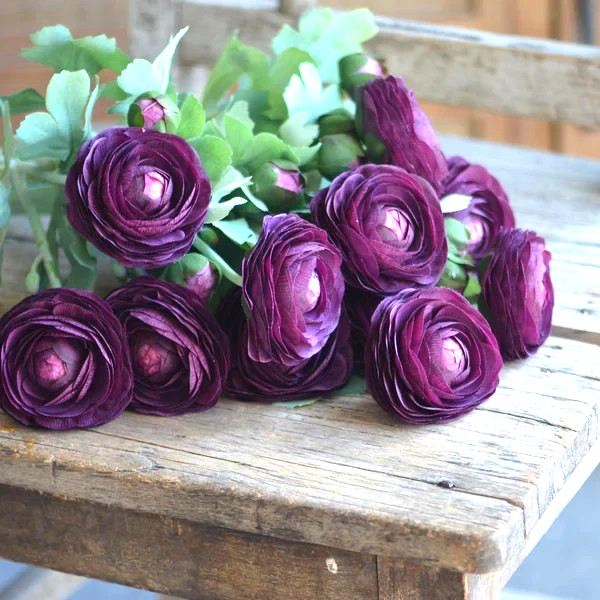 Ranunculus Purple Flower 15 Bulbs Peony Rose Buttercup Wedding Spring Flowers