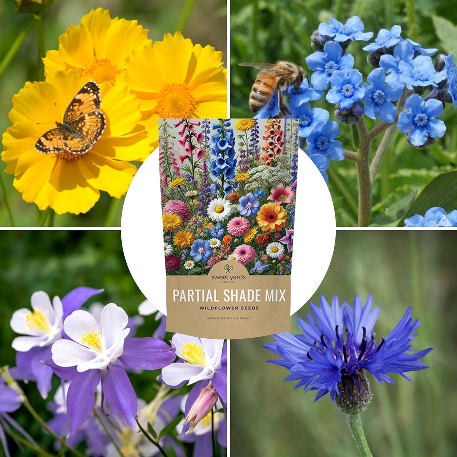 Bulk Wildflower Seeds Partial Shade Mix – 1/4 Pound Bag Annual & Perennial Seeds