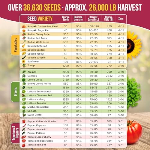 55 Vegetable Seeds Variety Pack – 35,600+ Non 55 Most Popular Vegetable Seeds