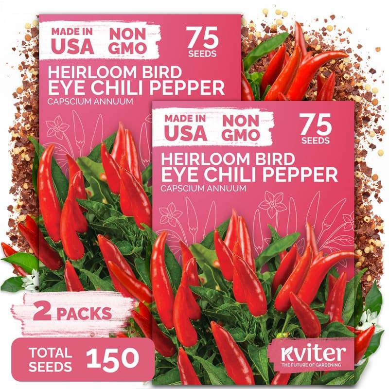 KVITER 150 Birds Eye Chili Pepper Seeds (Capsicum Annuum), 2 Pack