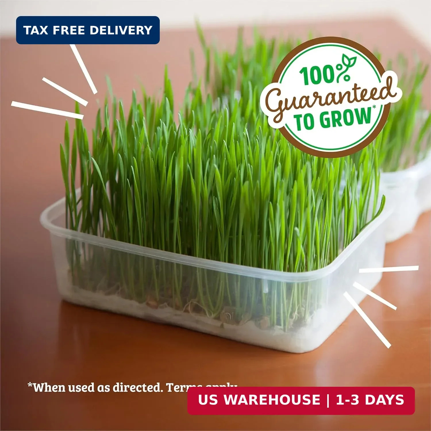 Back to the Roots 100% Organic Wheatgrass Seeds | 1 Pound Non-GMO | Nutrient Den