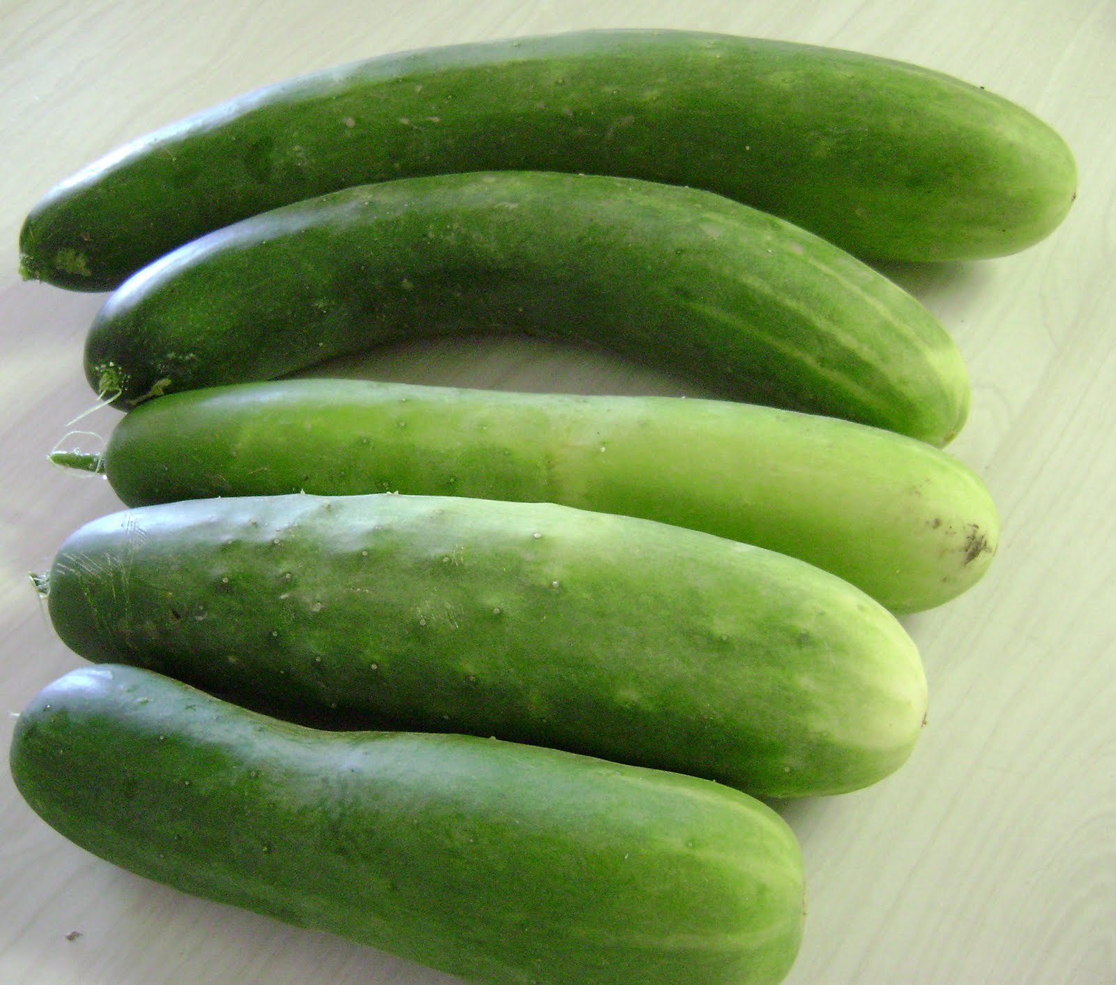 Garden Sweet Cucumber Seeds, BURPLESS, Organic, NON-GMO, FREE SHIPPING