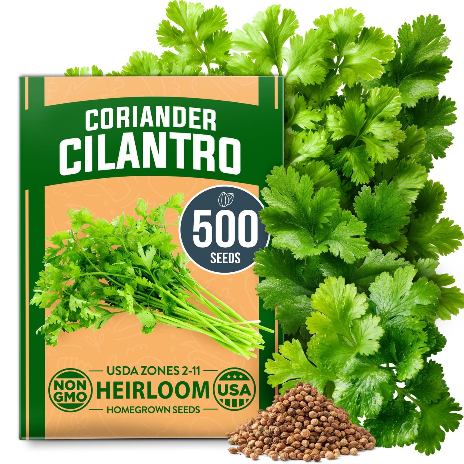 Cilantro Seeds for Planting Heirloom Non GMO Coriander 500+ Culinary Herb Garden