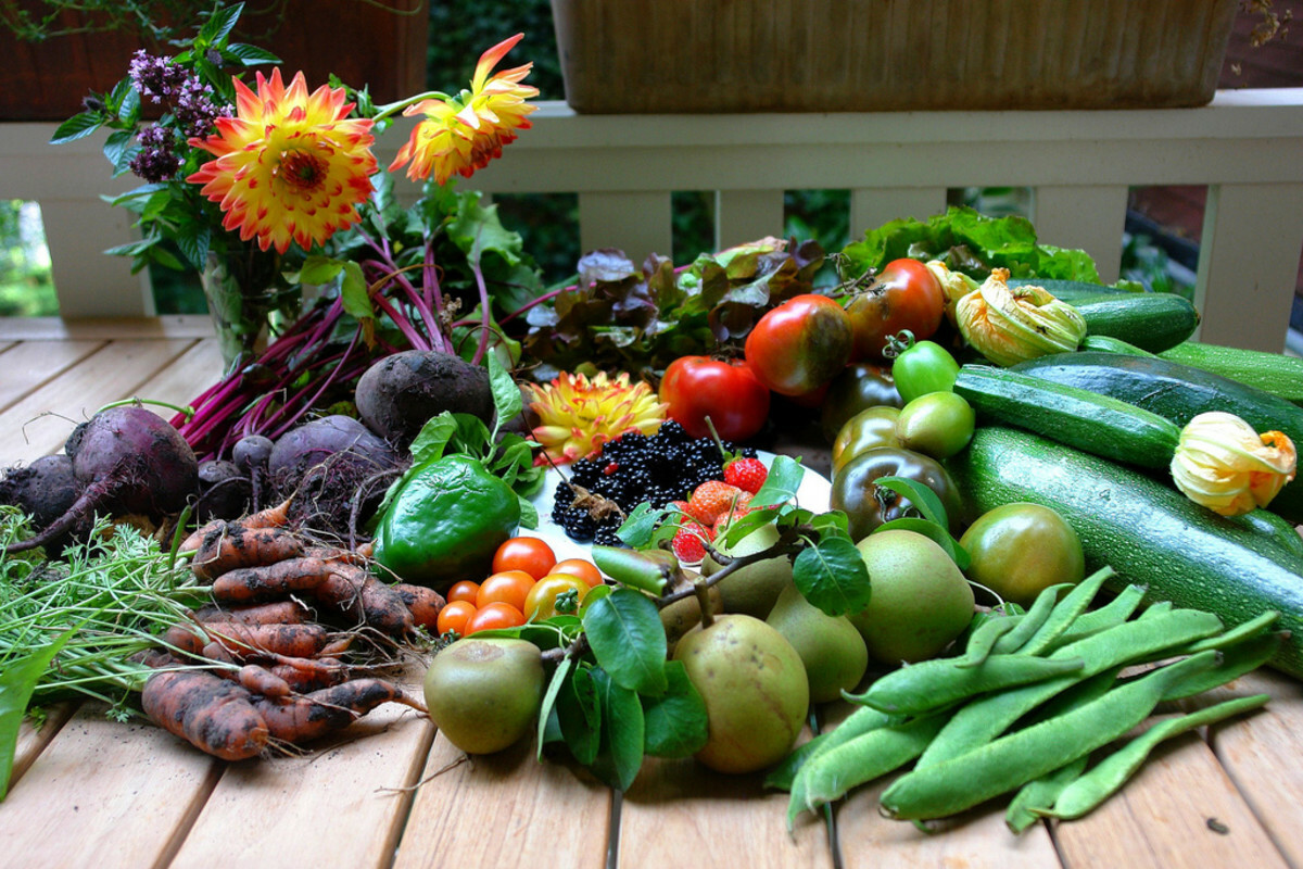 Huge 300,000 Veggie Fruit & Sprout Garden Seeds 50+ Varieties, SURVIVALIST CACHE