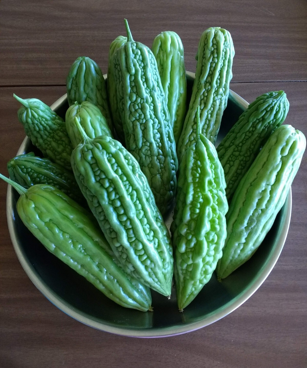 15 Chinese Bitter Melon Vegetable Gourd Squash Seeds 有机苦瓜种子 – Heirloom Variety