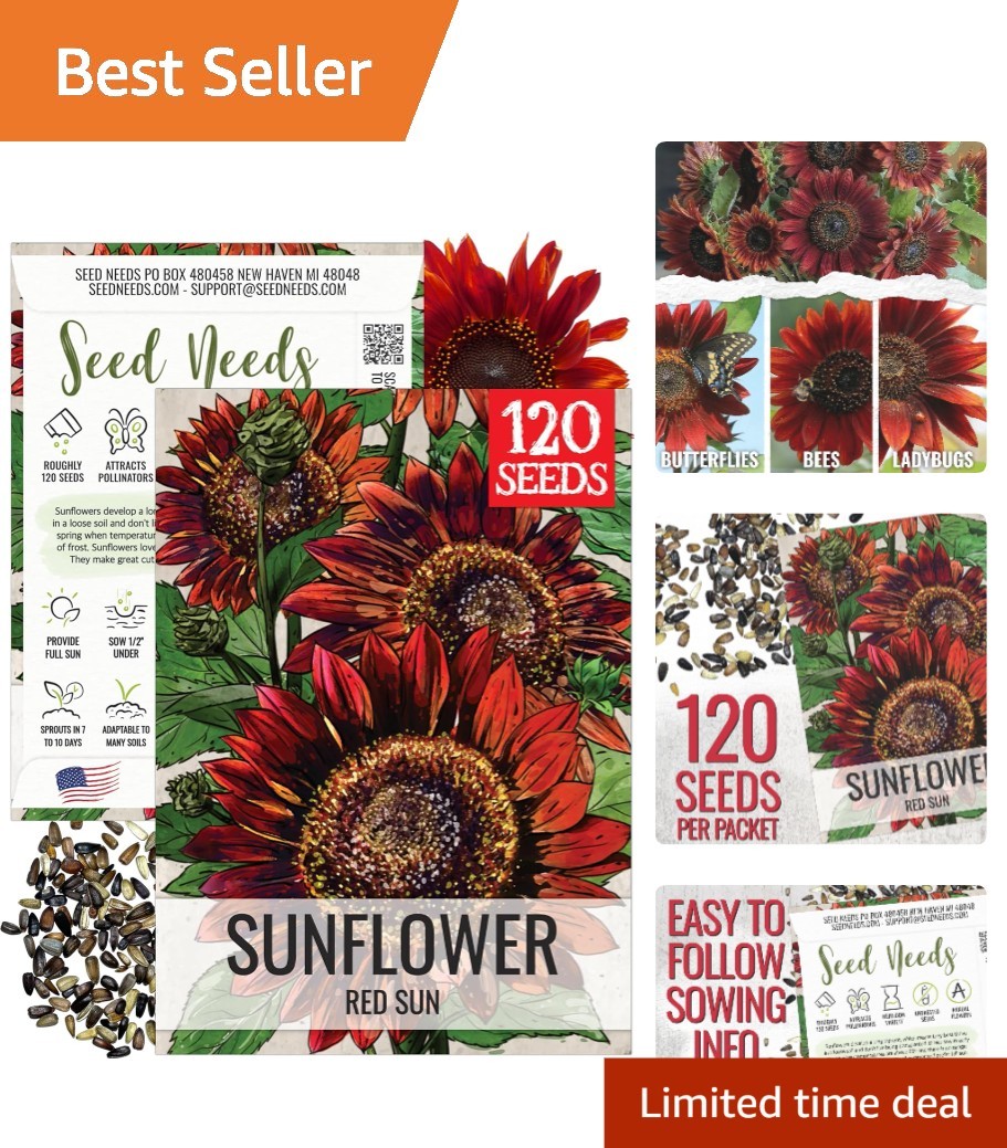 Grow Red Sunflowers with These Heirloom Open Pollinated Seeds